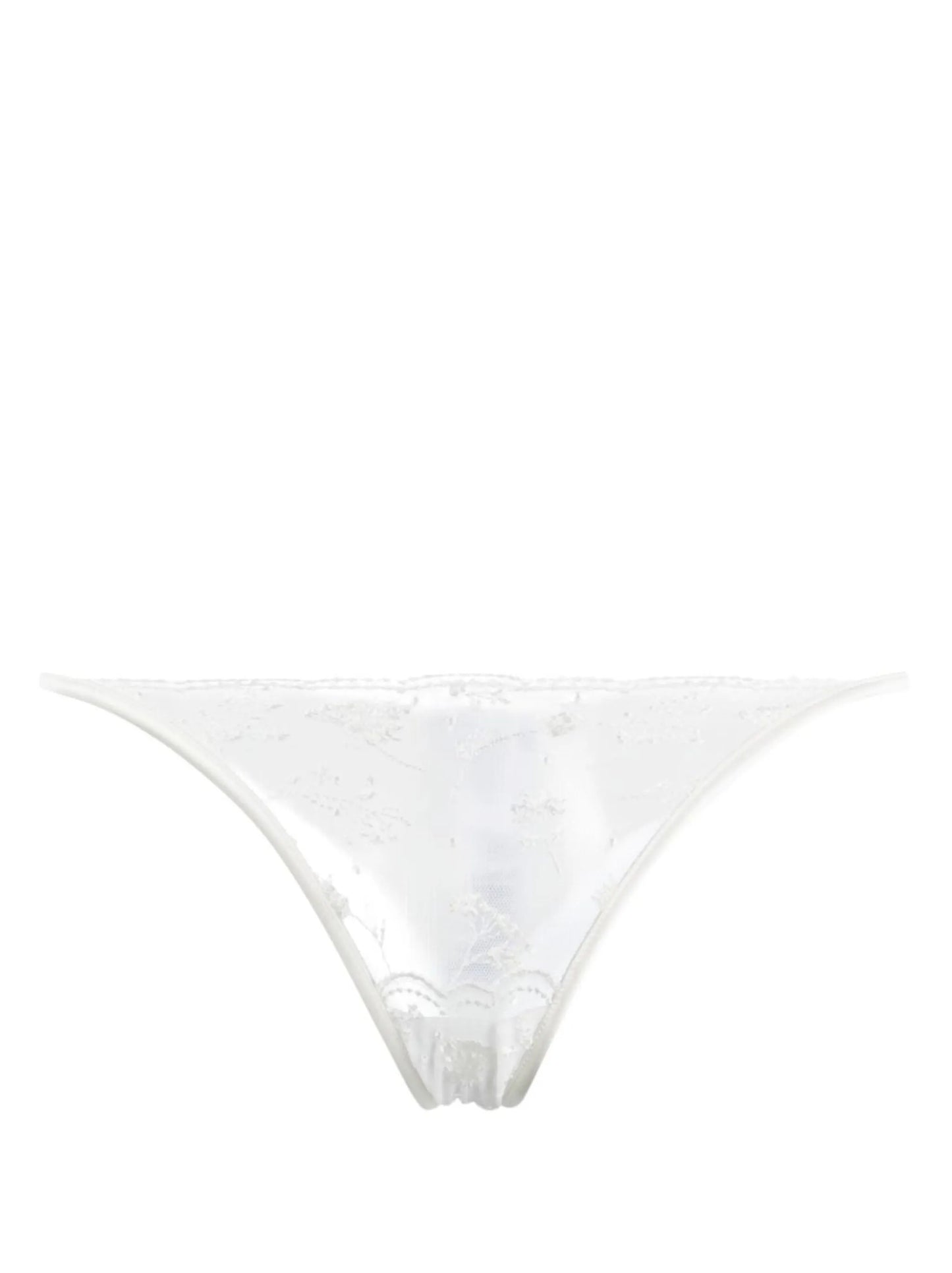 Midnight Botanica sheer briefs