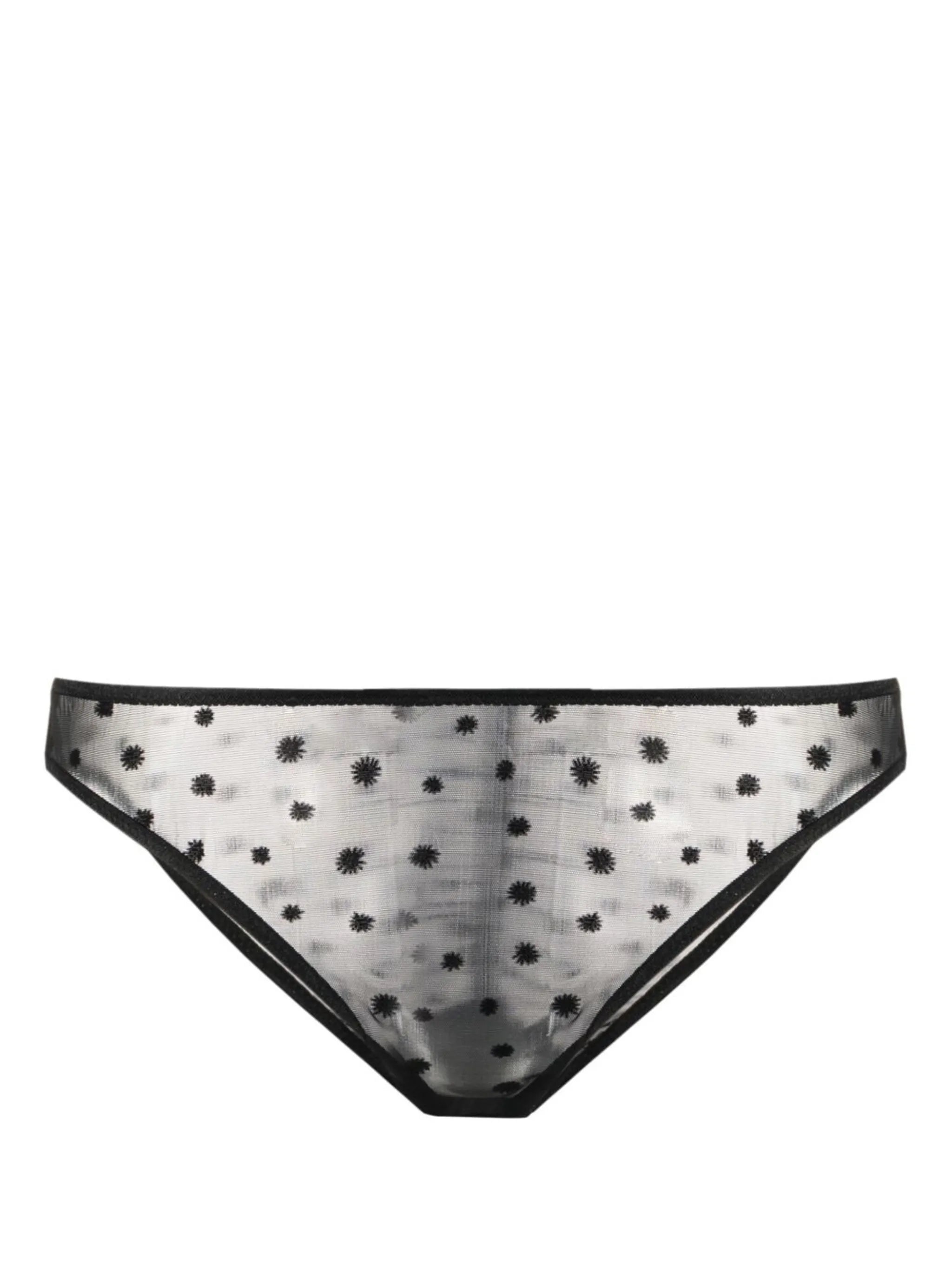 Lille sheer briefs