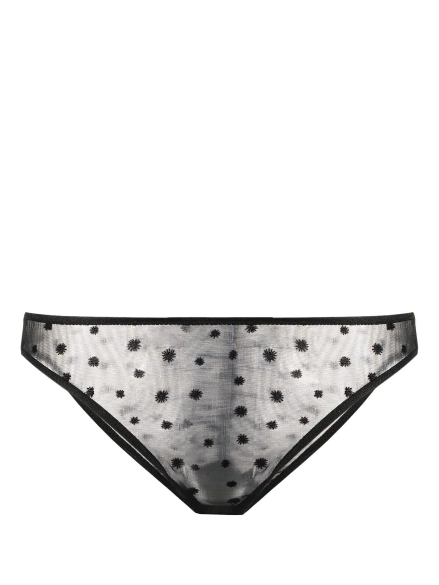 Lille sheer briefs