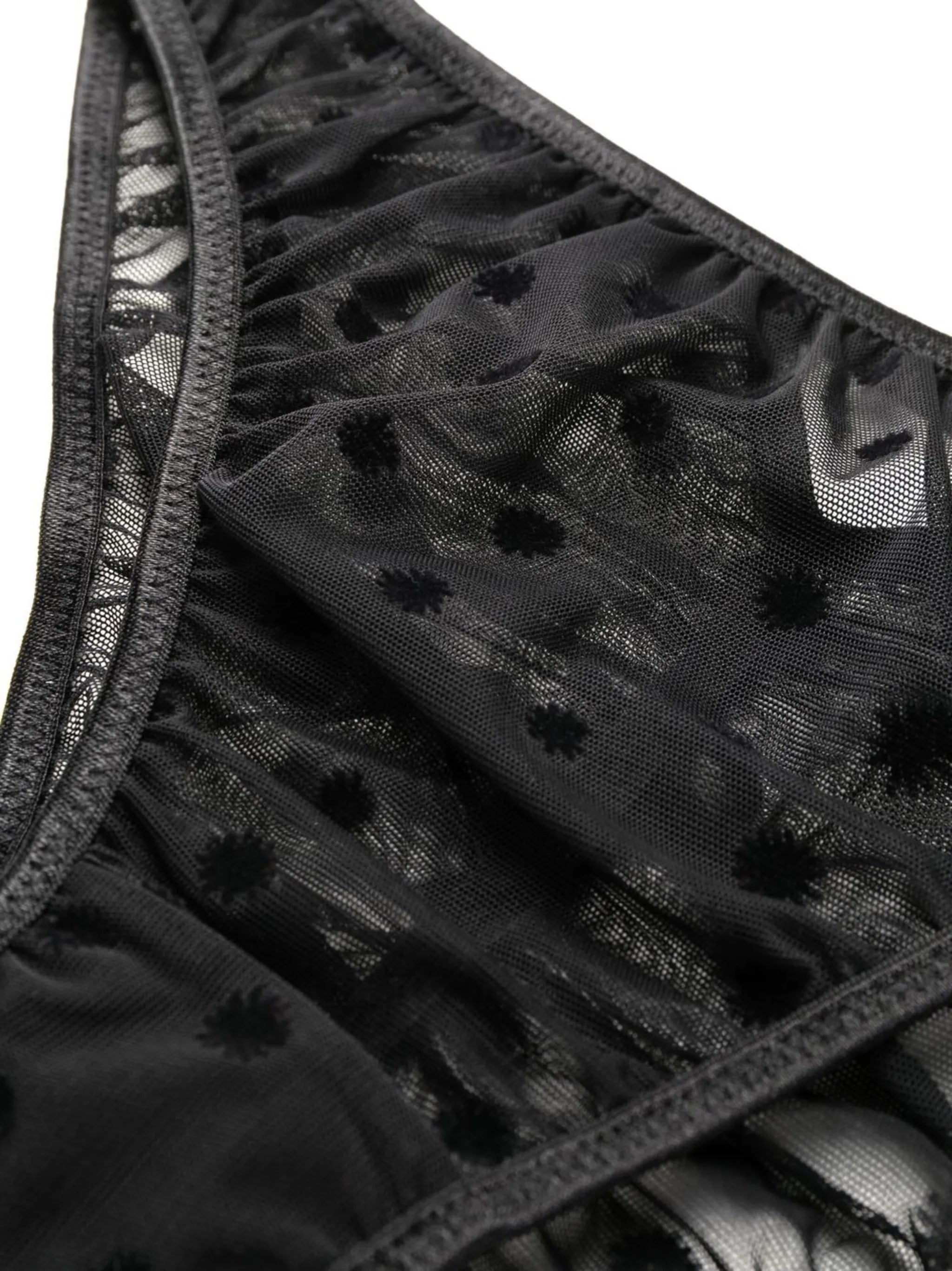 Lille sheer briefs