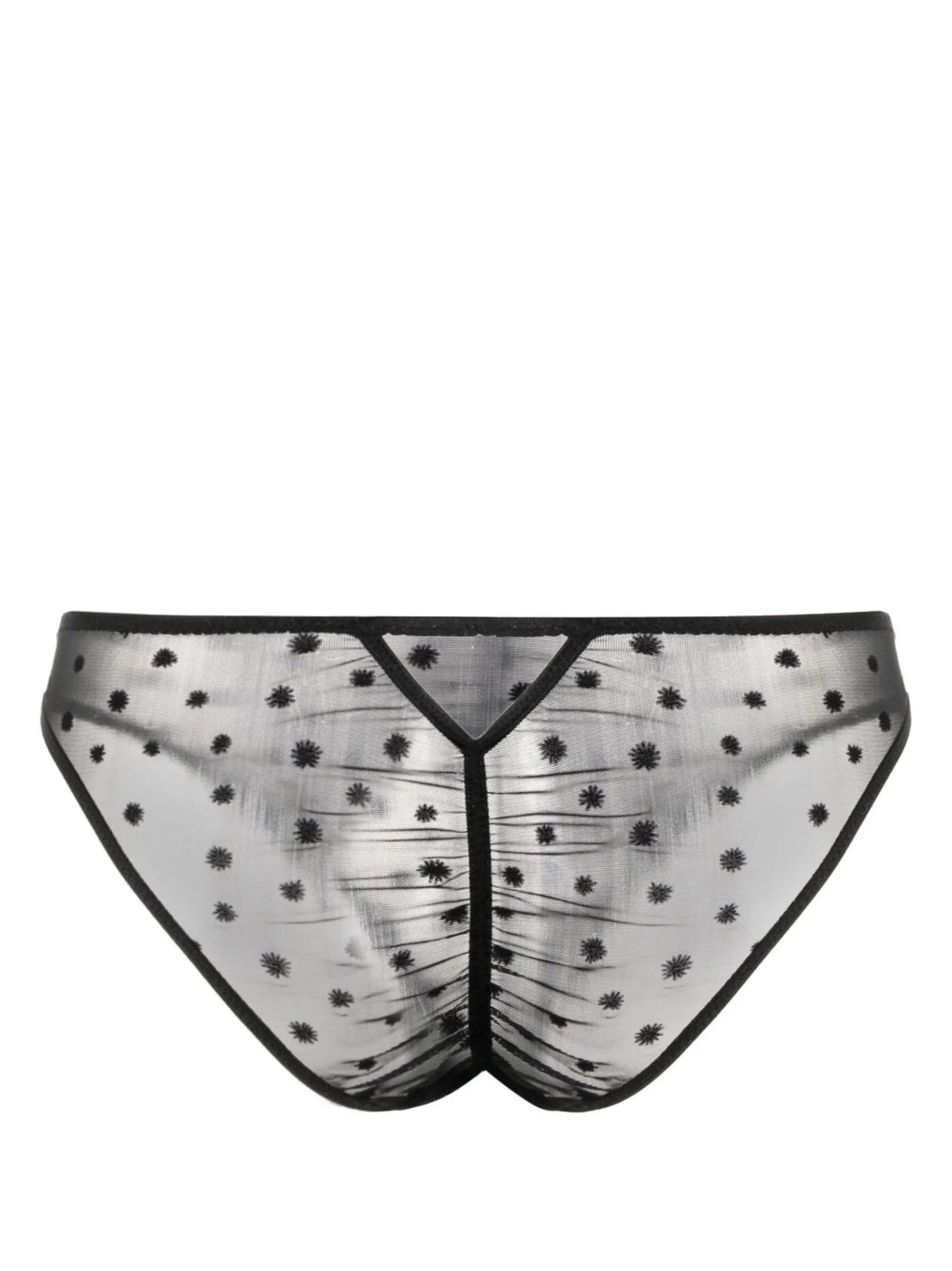 Lille sheer briefs