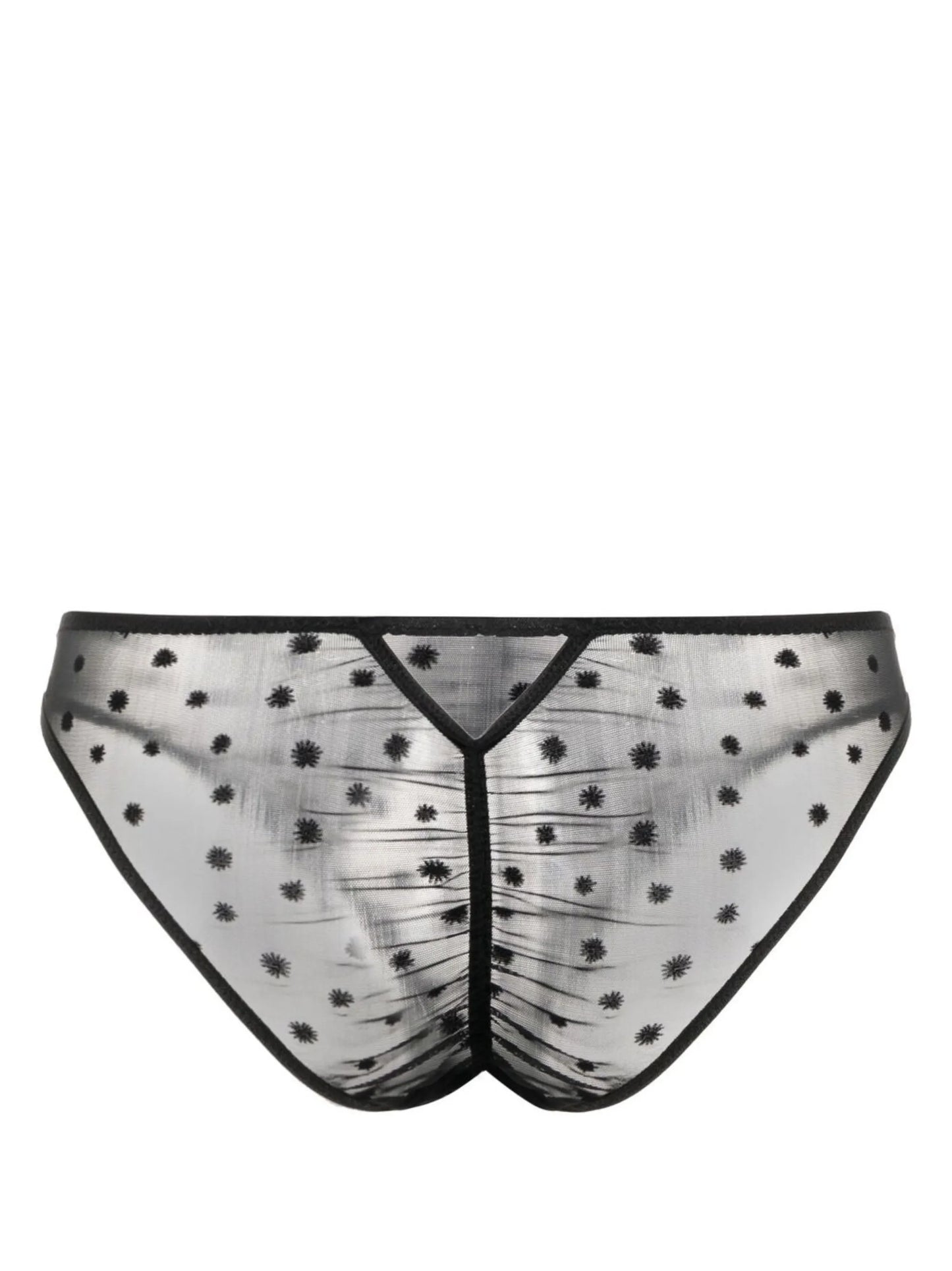 Lille sheer briefs