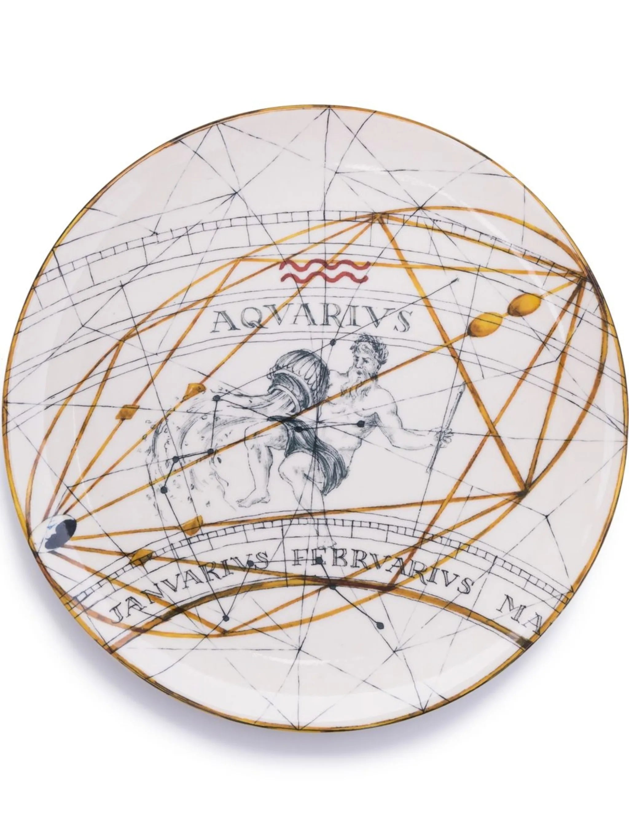 Aquarius dinner plate (20cm)