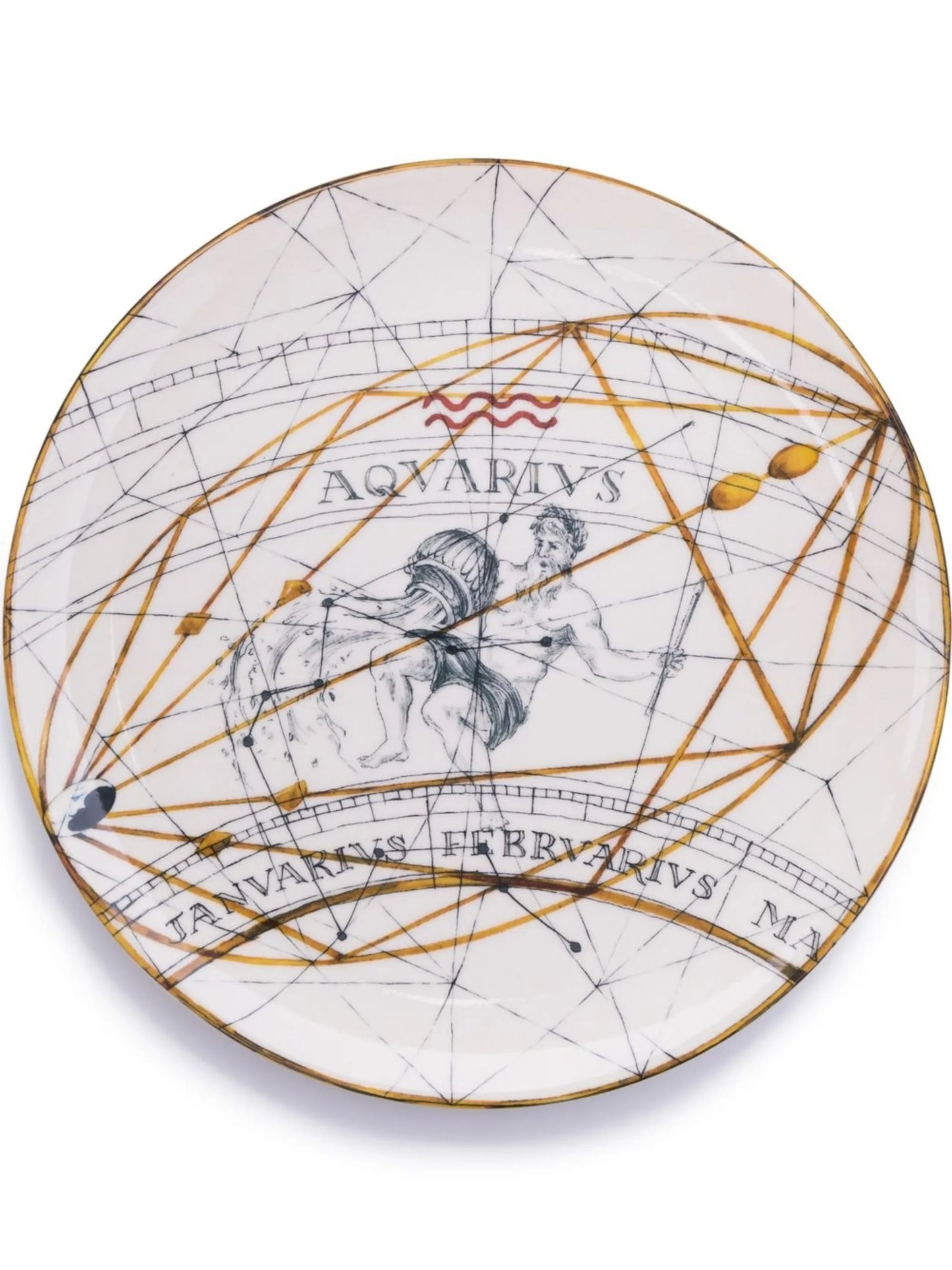 Aquarius dinner plate (20cm)