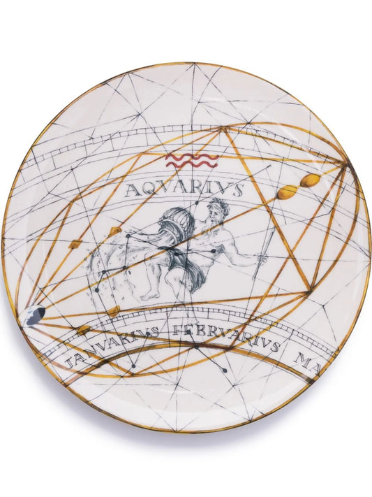 Aquarius dinner plate (20cm)