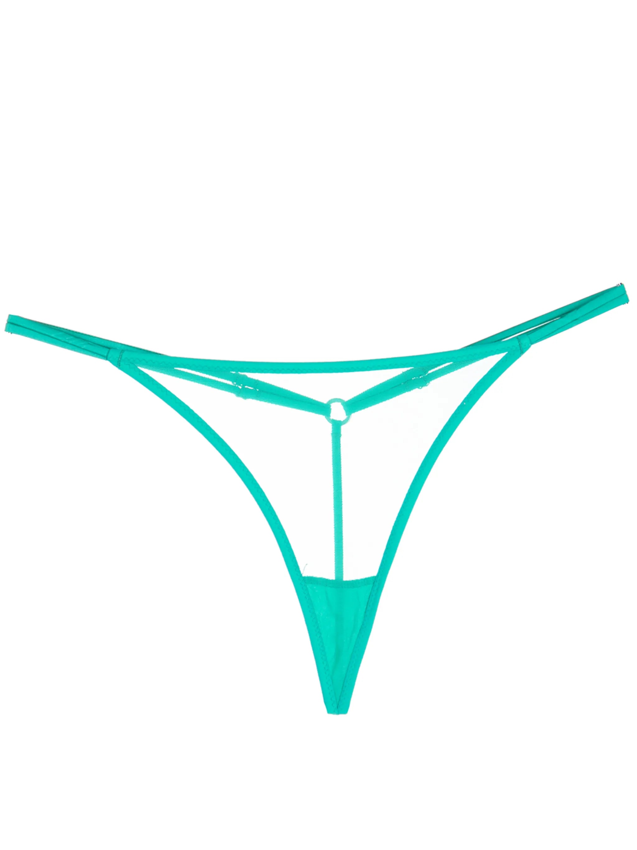 mesh-panel G-string