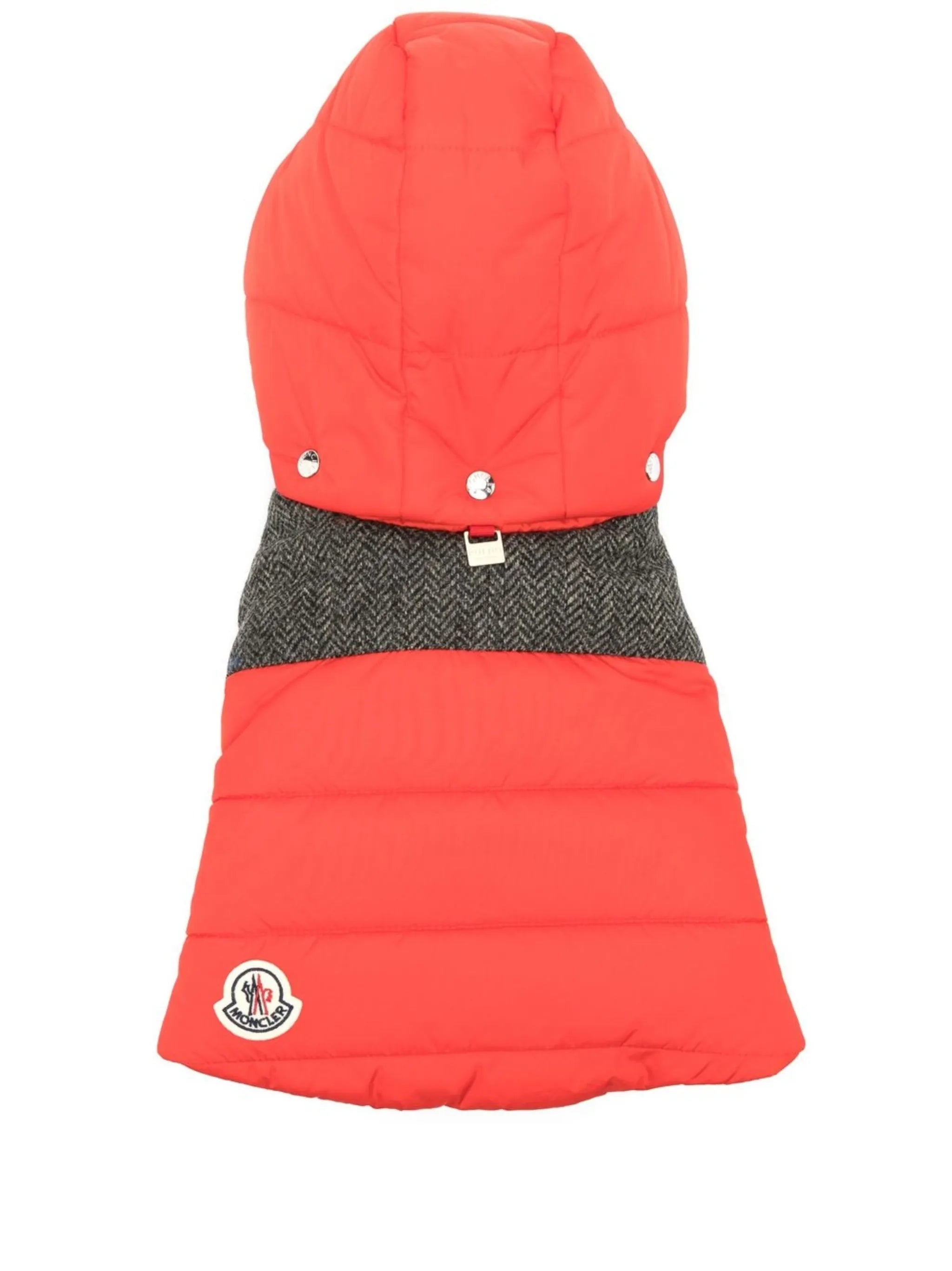 Poldo logo-patch dog-jacket