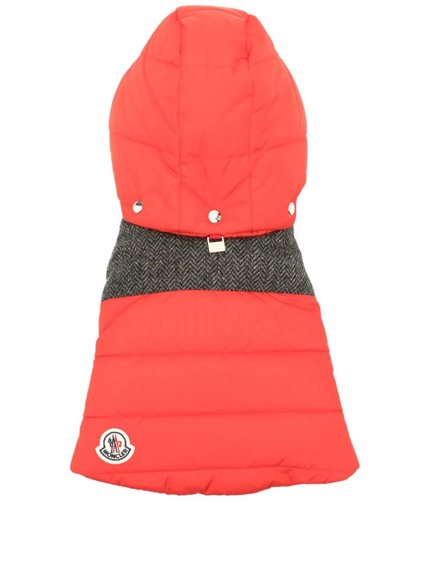 Poldo logo-patch dog-jacket