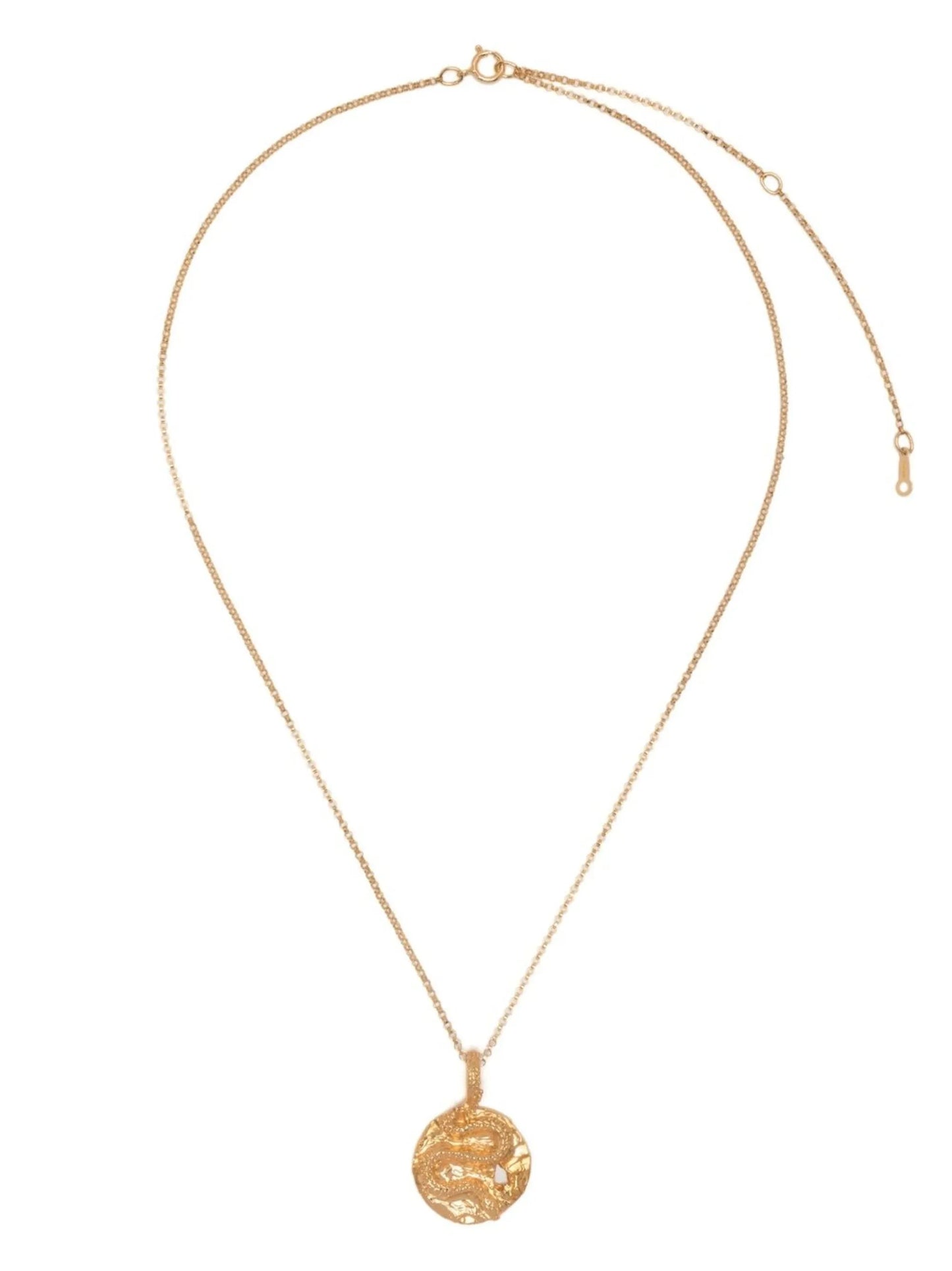 The Medusa Medallion necklace