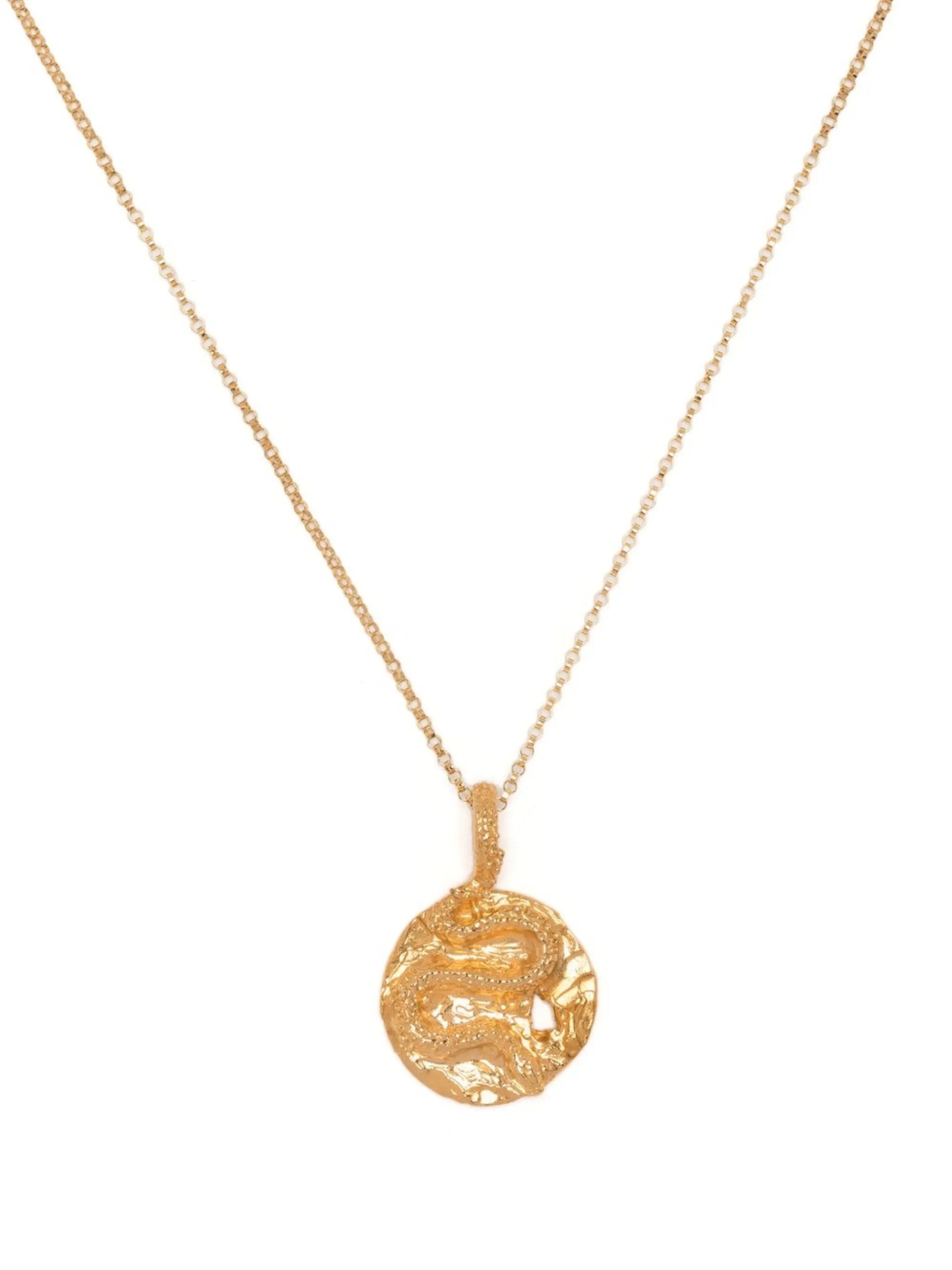 The Medusa Medallion necklace