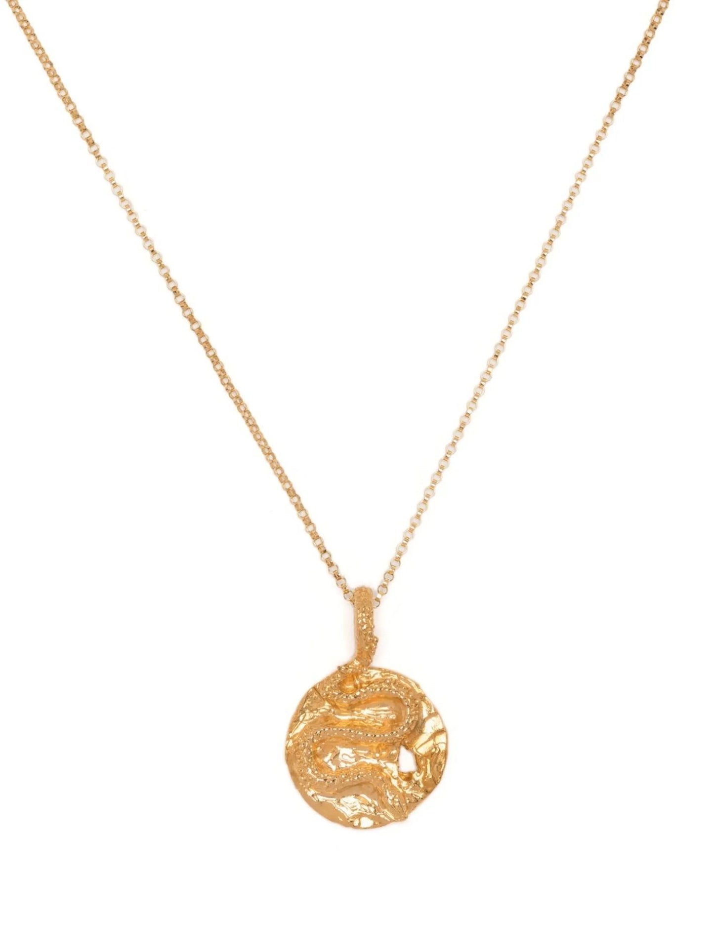 The Medusa Medallion necklace