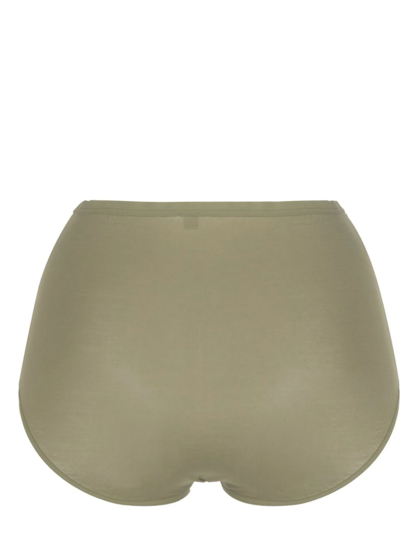 high-waisted semi-sheer briefs