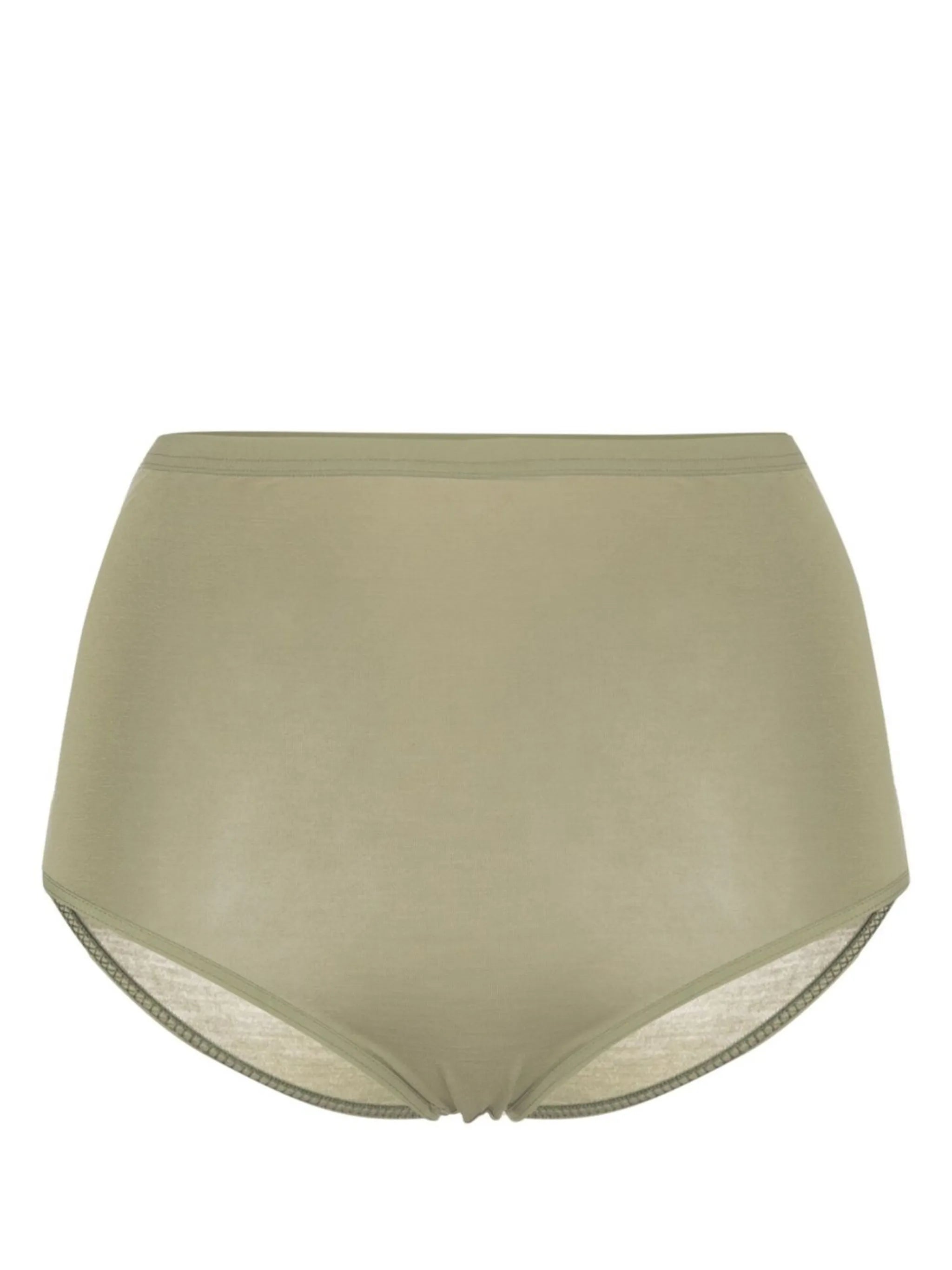 high-waisted semi-sheer briefs