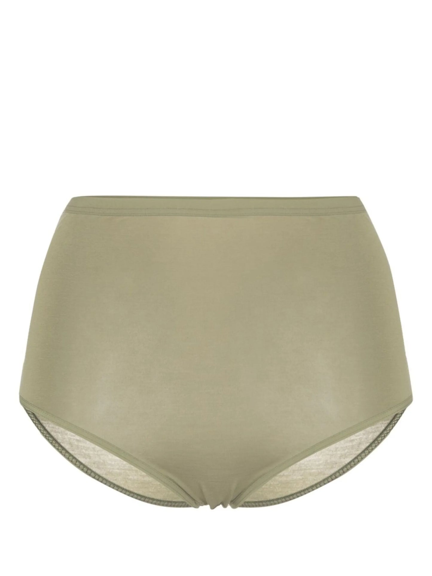 high-waisted semi-sheer briefs
