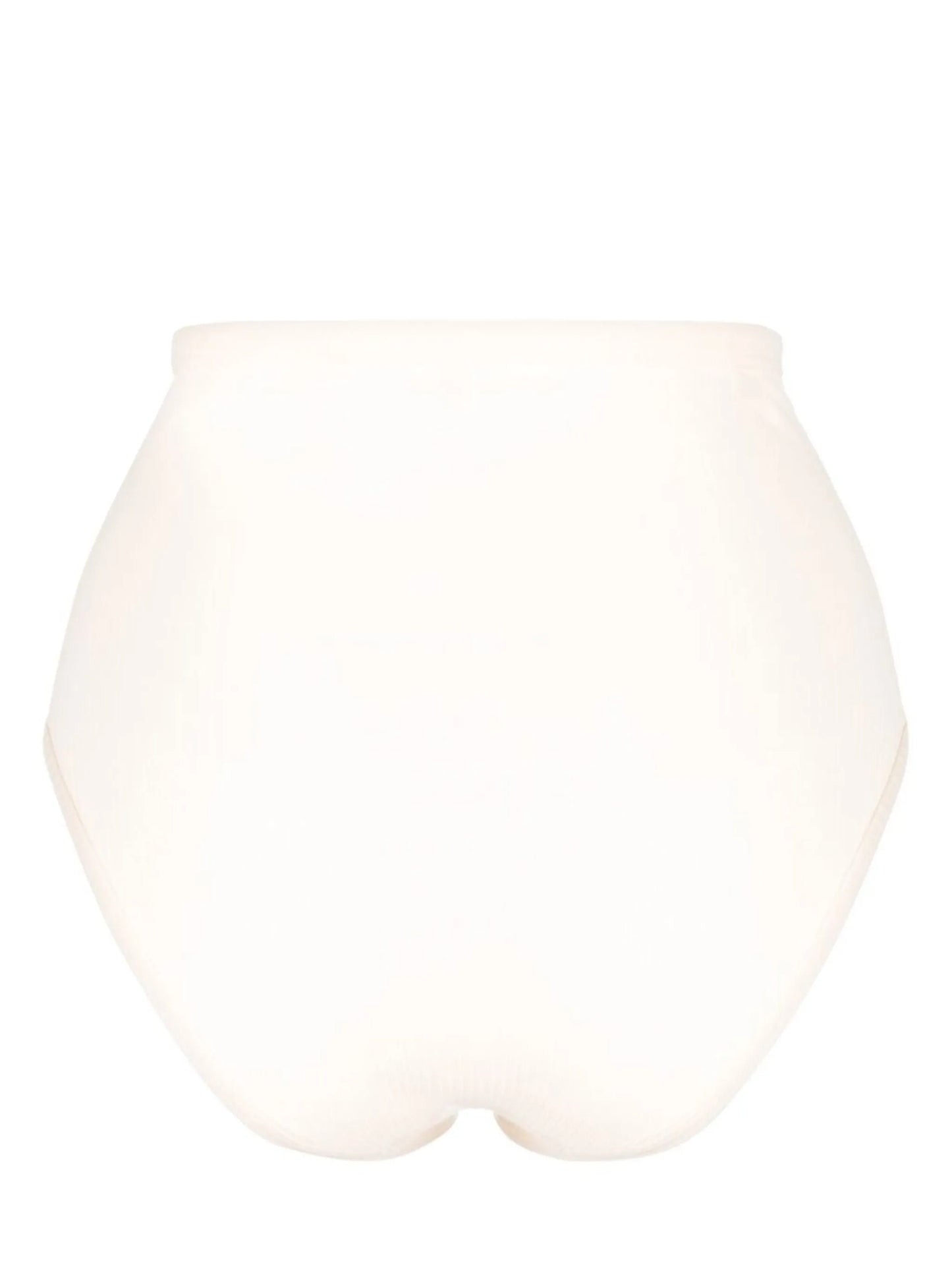 high-waisted semi-sheer briefs