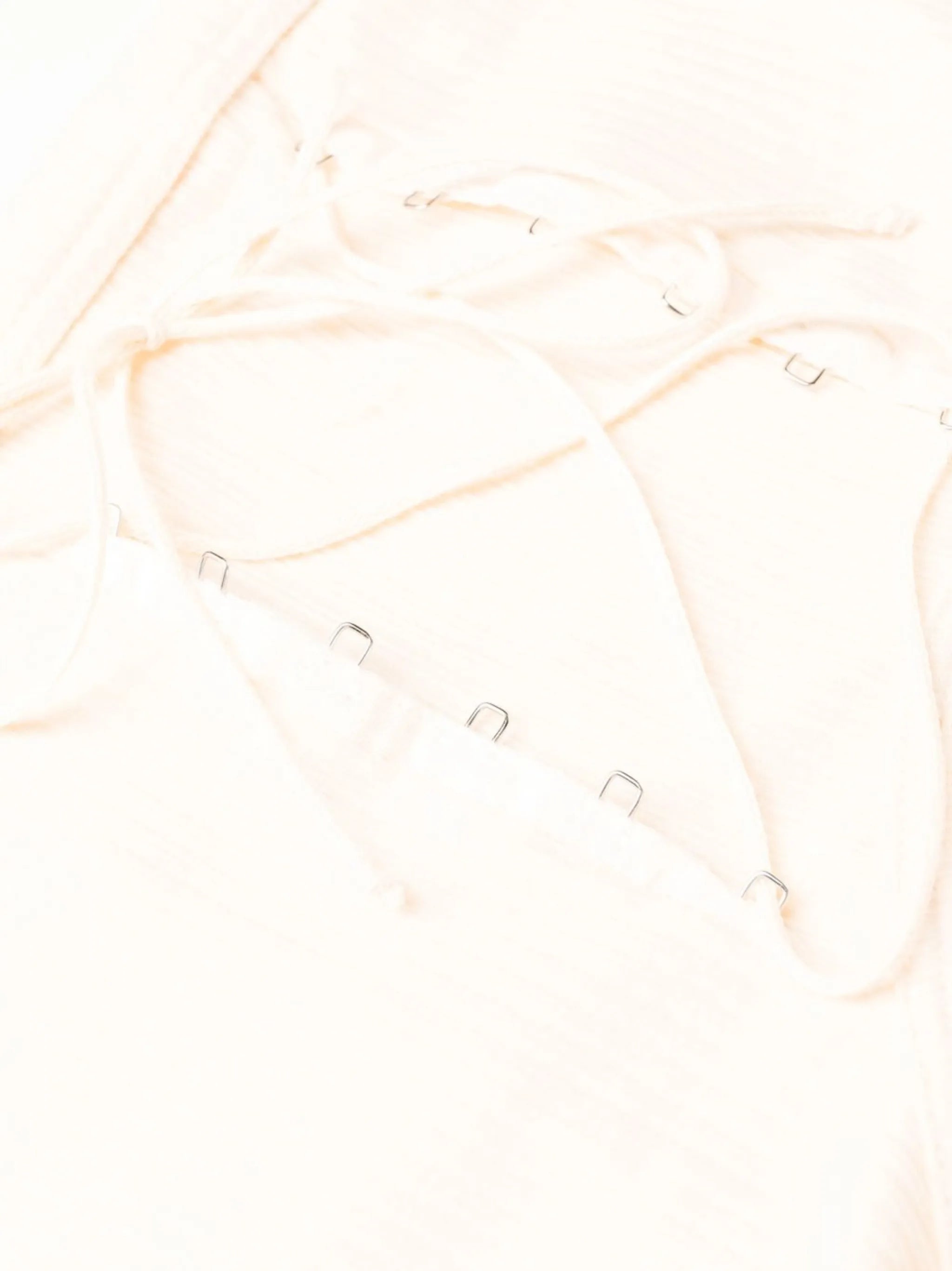 high-waisted semi-sheer briefs