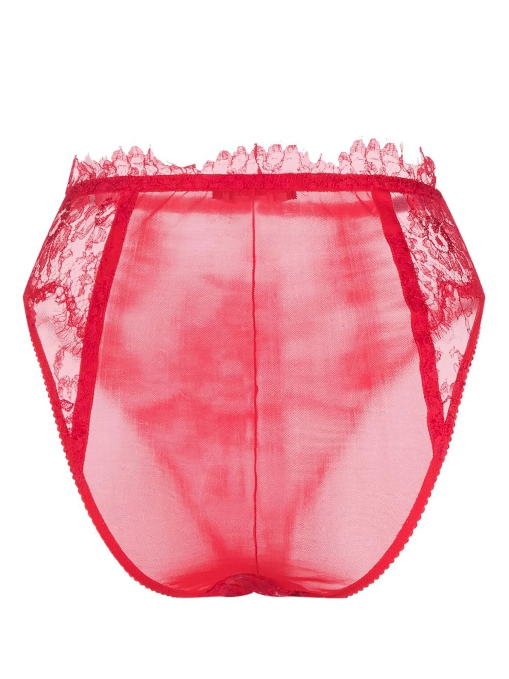 lace high-waisted briefs
