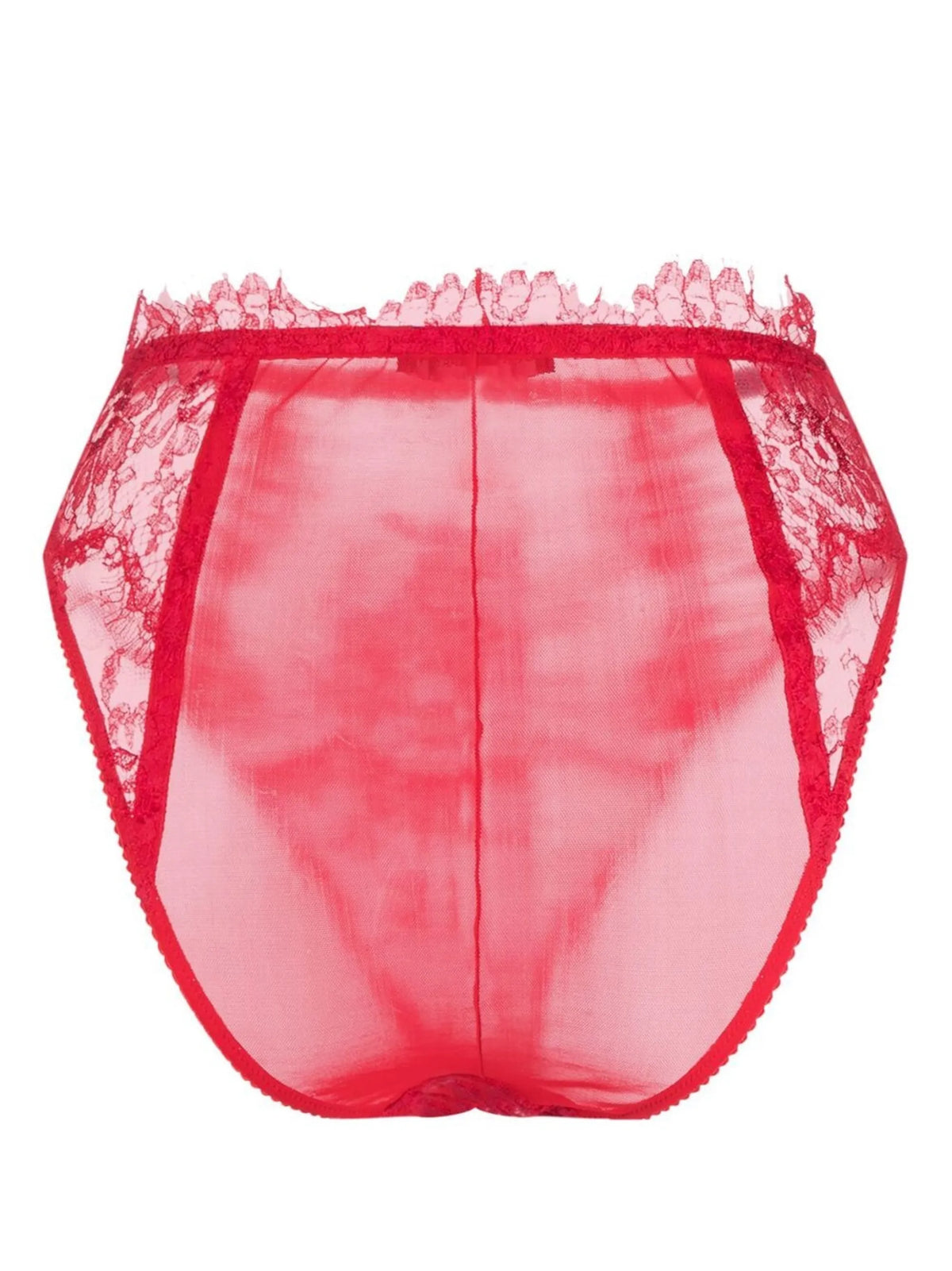lace high-waisted briefs