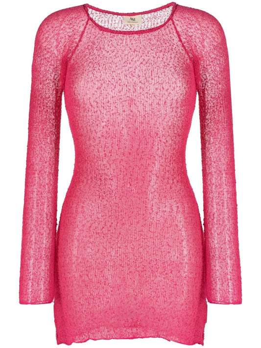 Andy sheer knitted mini dress