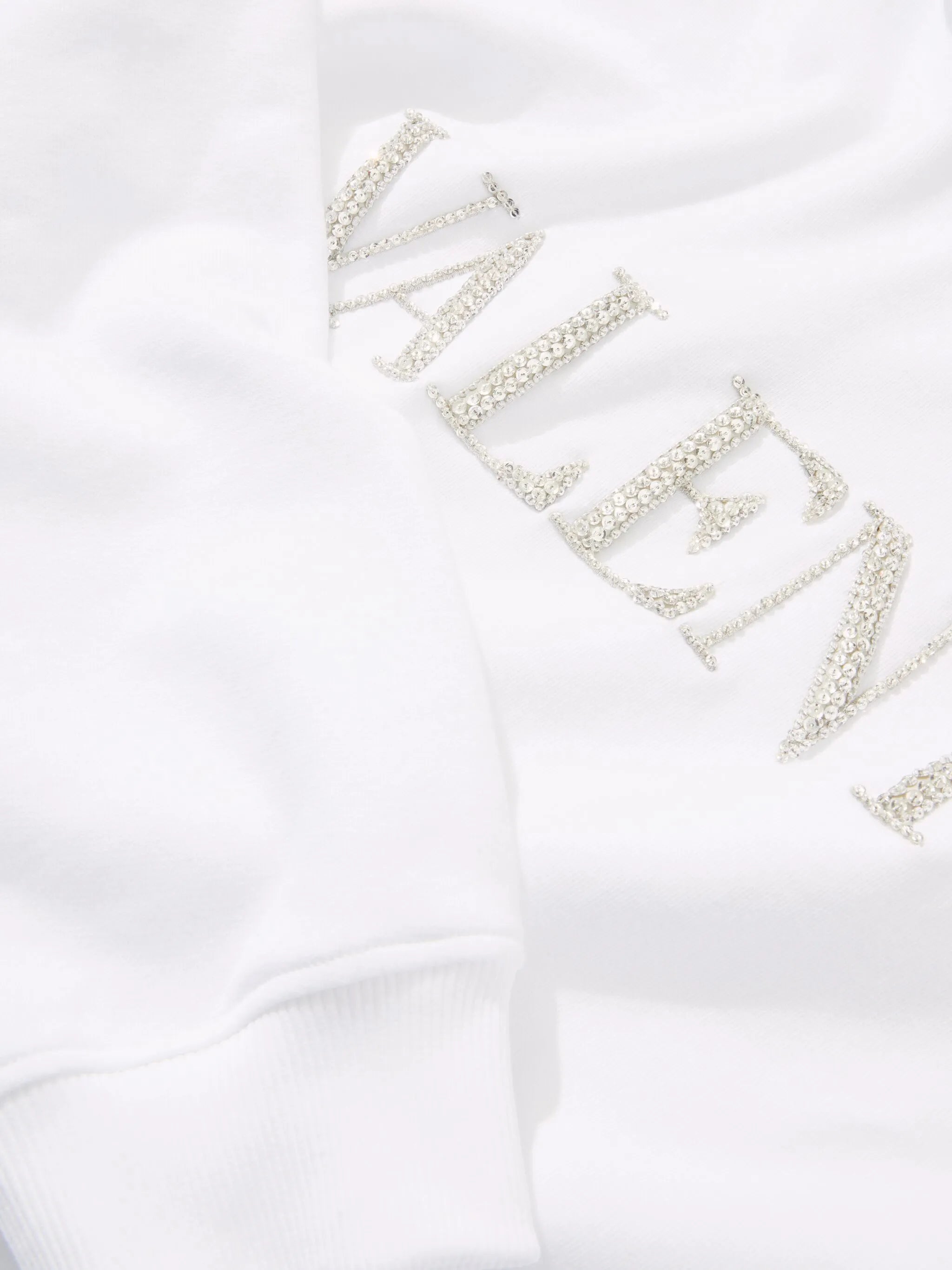 embroidered sweatshirt