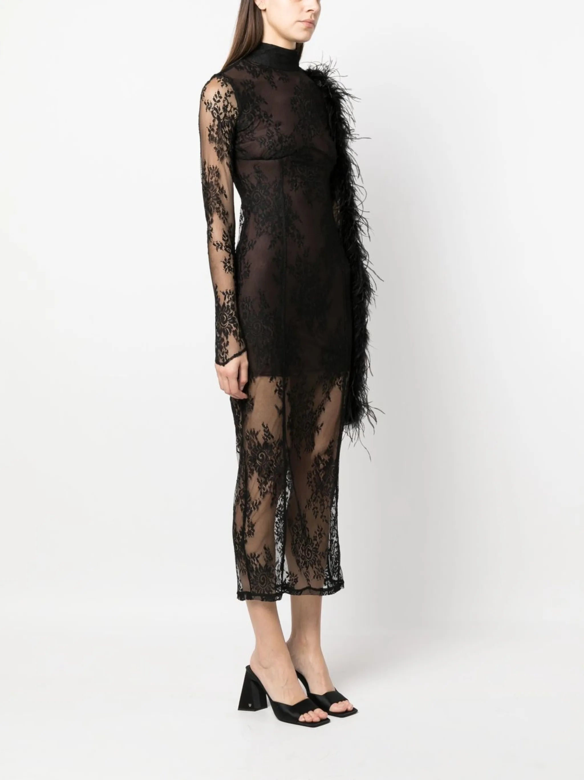 lace semi-sheer dress