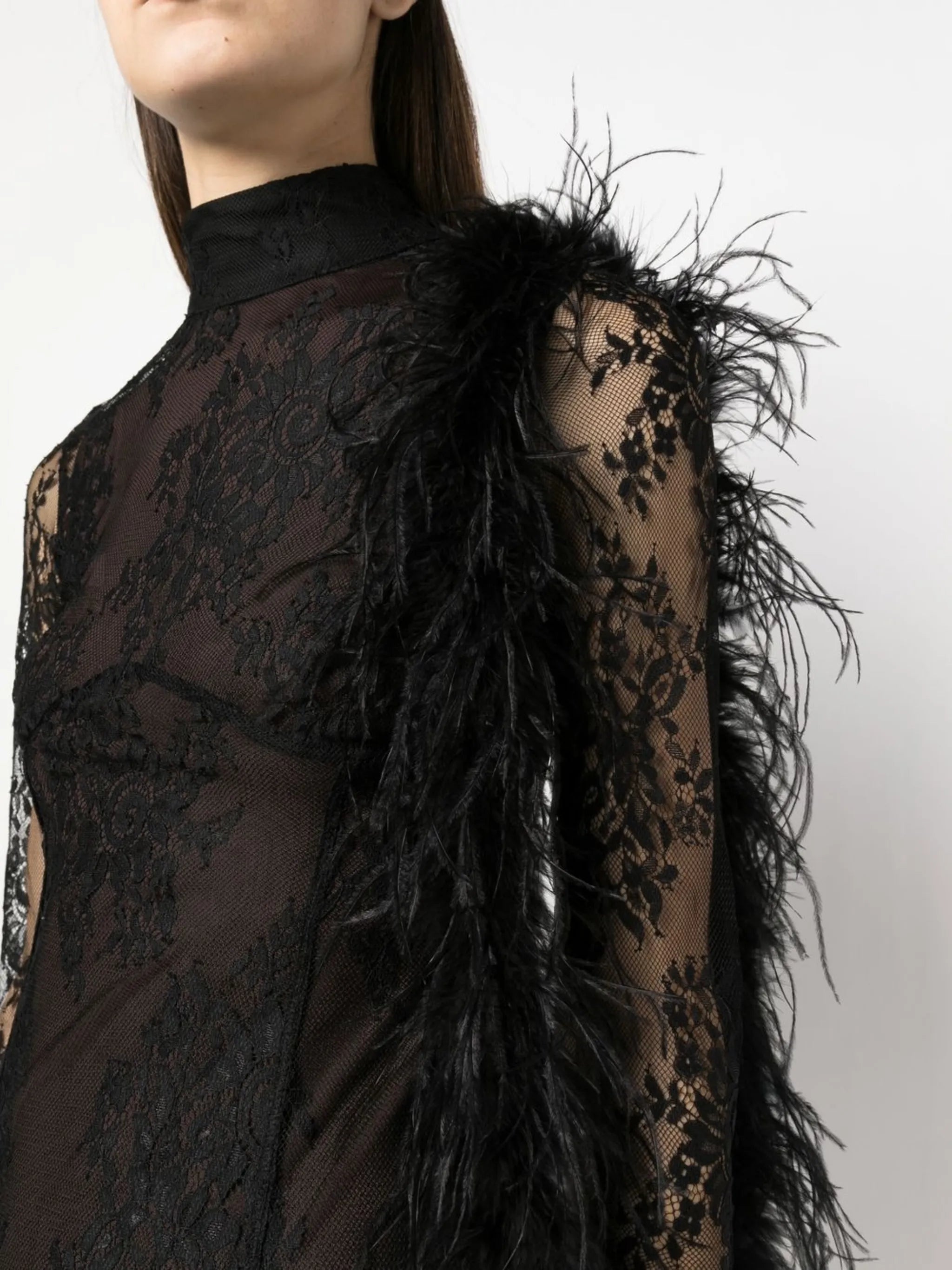 lace semi-sheer dress