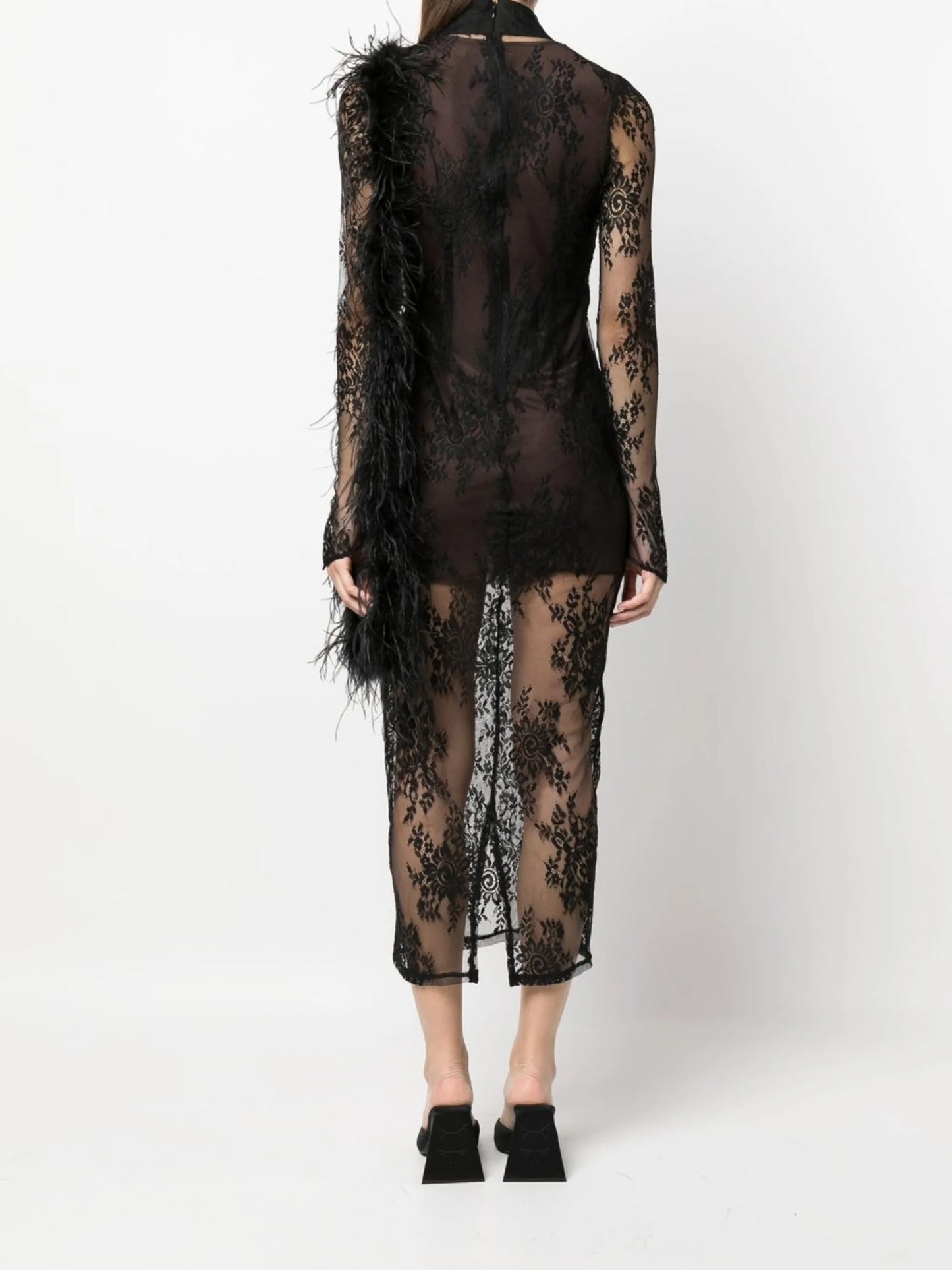 lace semi-sheer dress