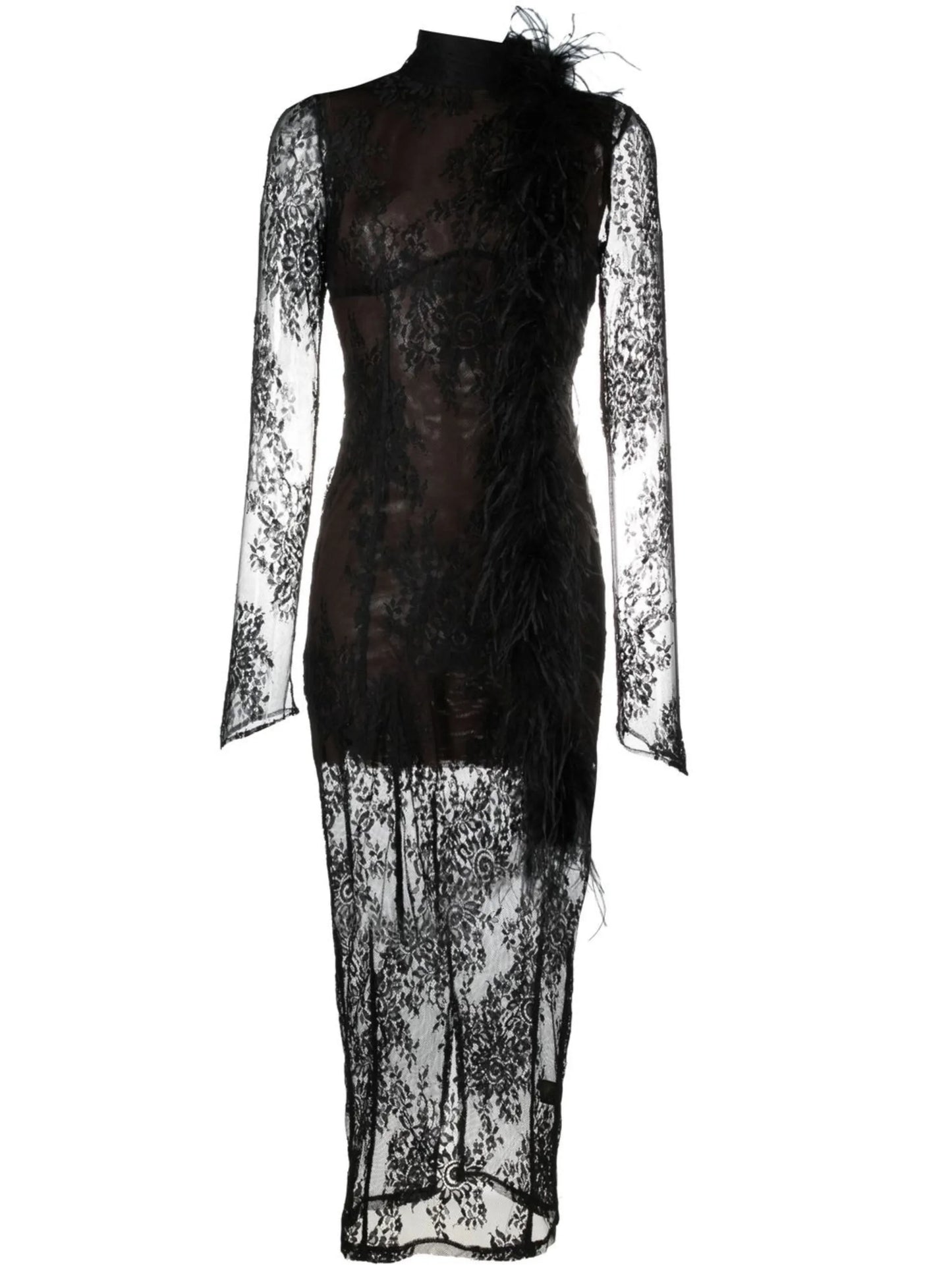 lace semi-sheer dress