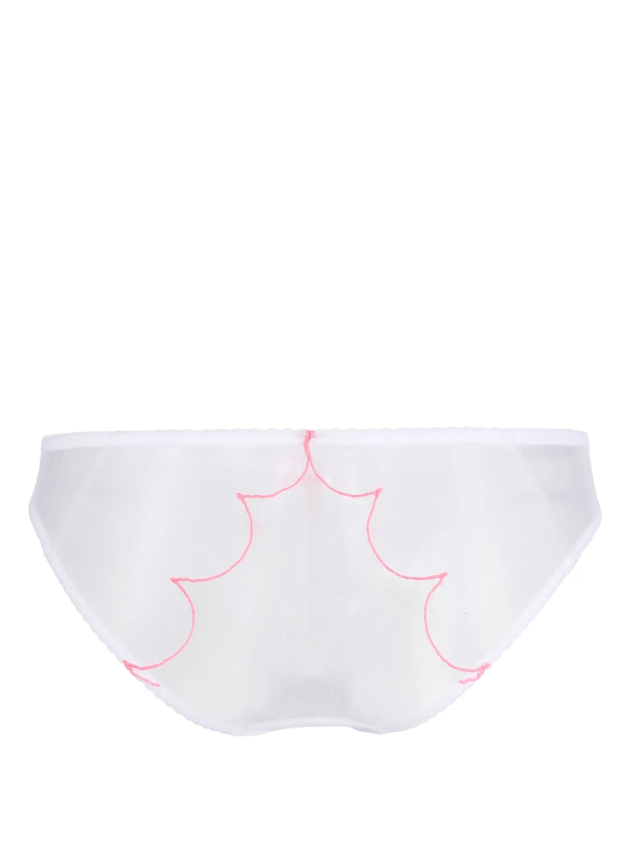 Lorna sheer briefs