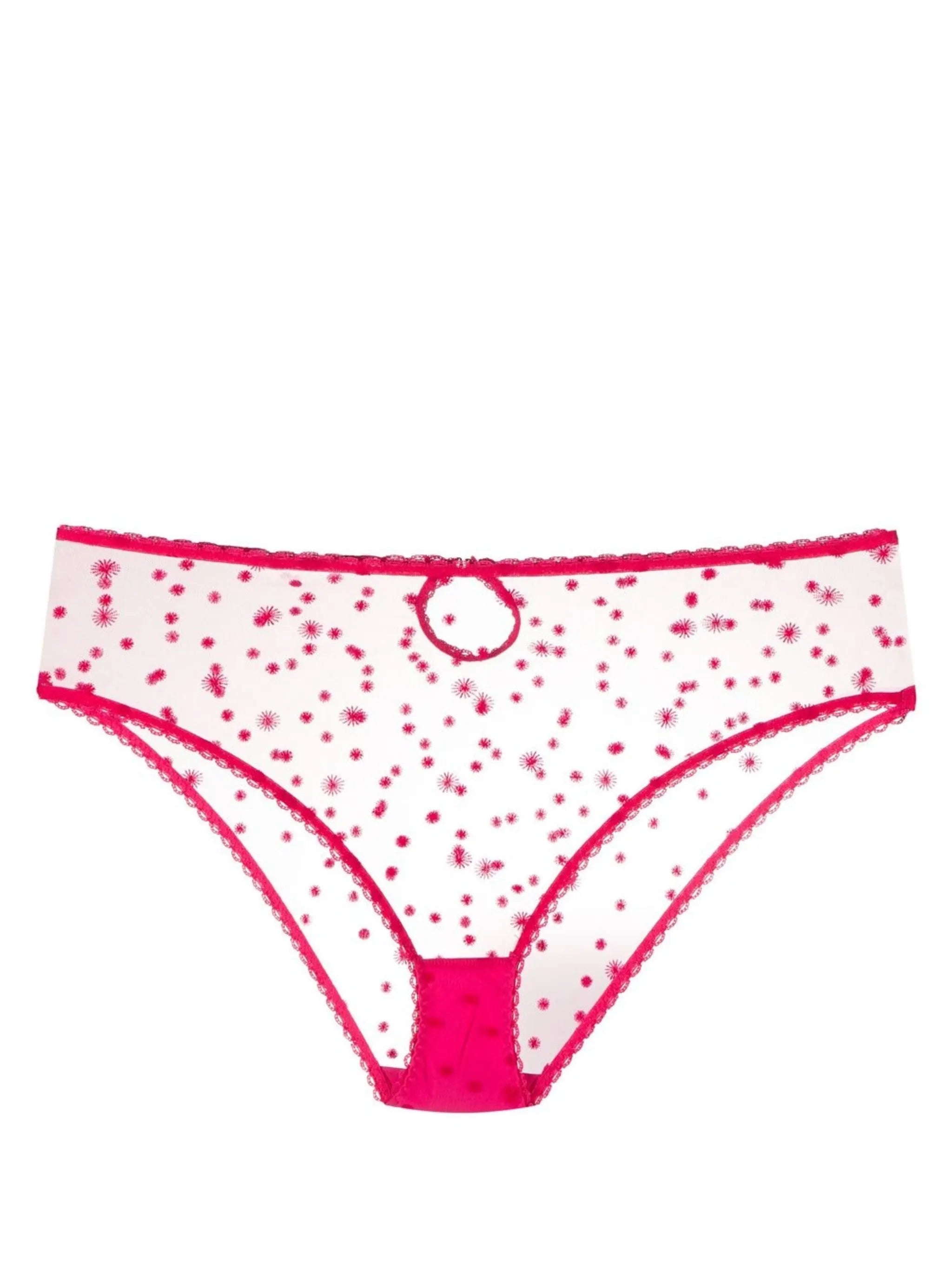 embroidered high-waisted briefs
