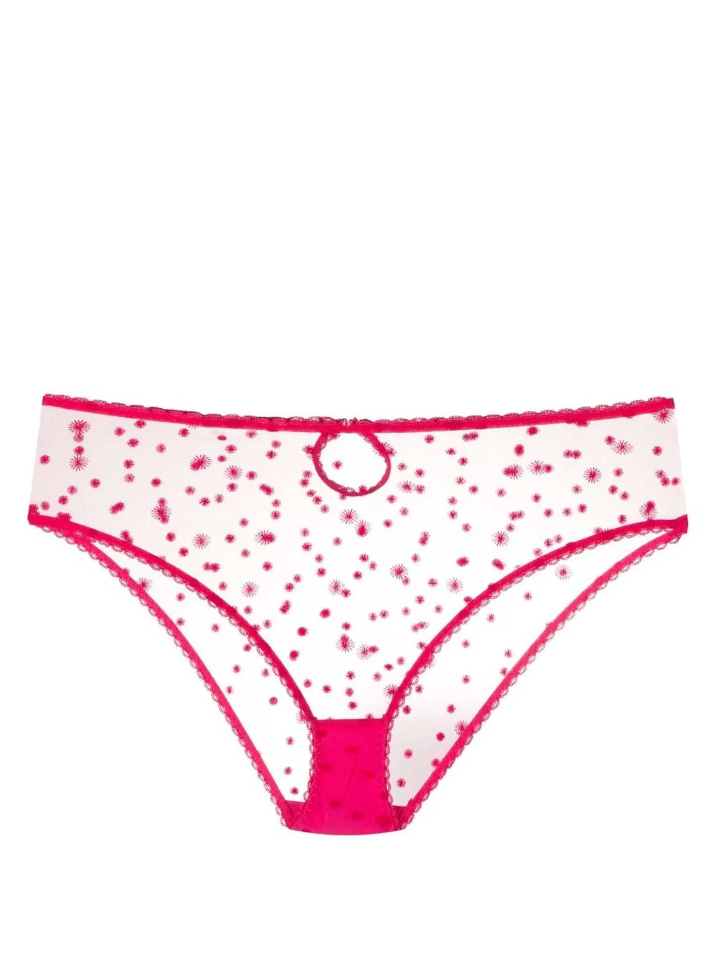 embroidered high-waisted briefs