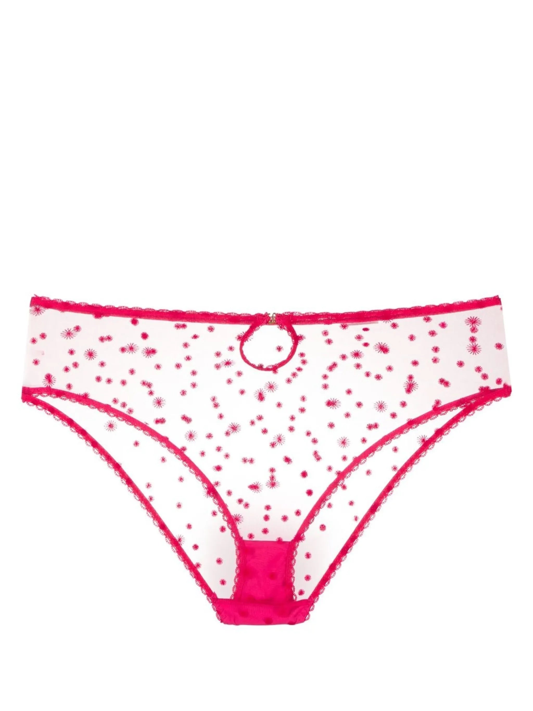 embroidered high-waisted briefs