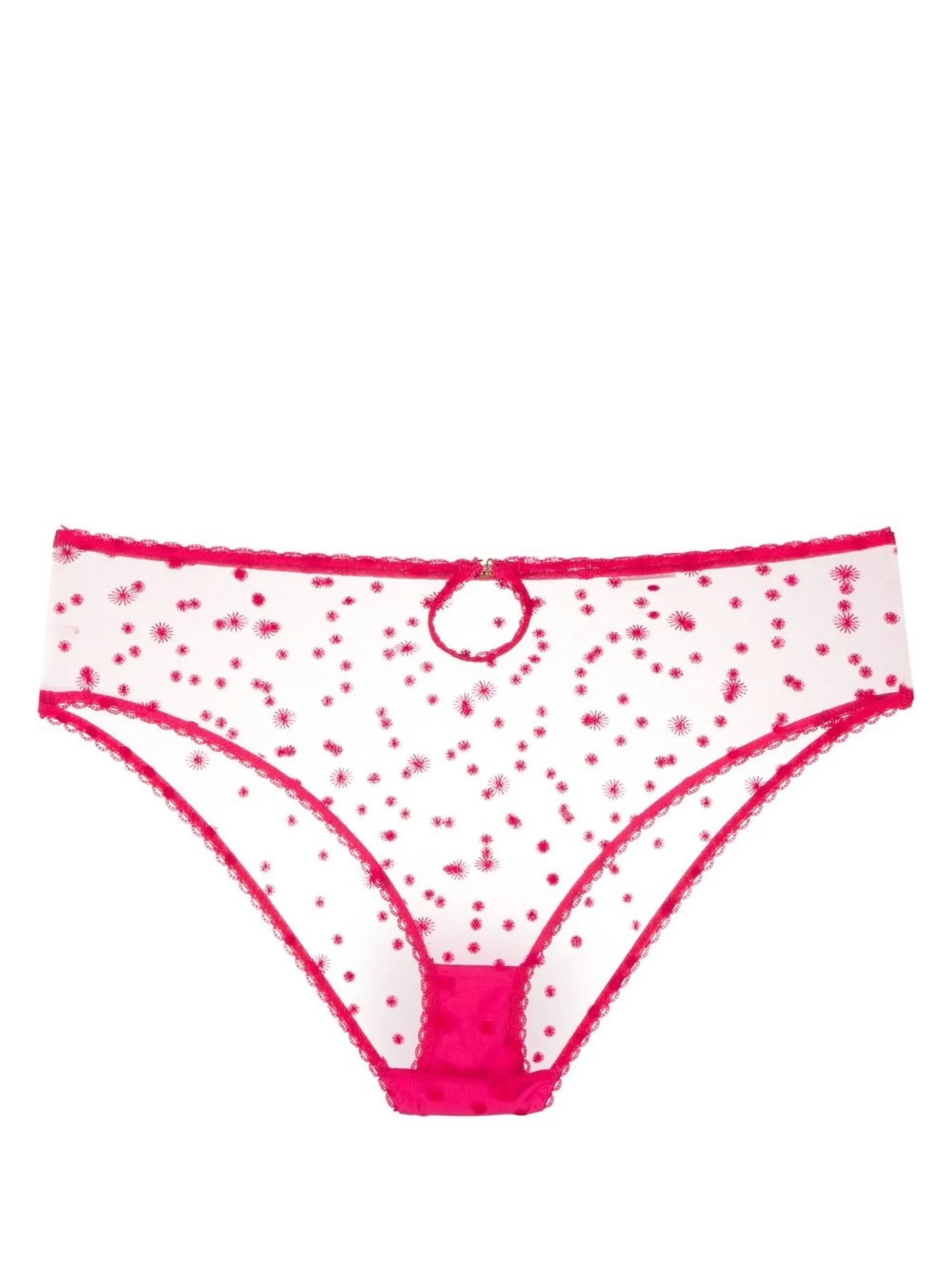embroidered high-waisted briefs