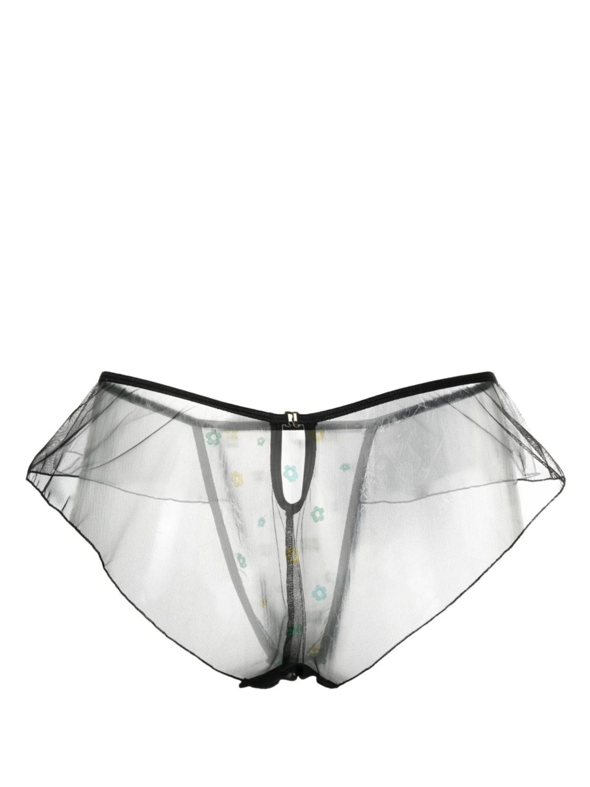 Jardin Loose sheer briefs