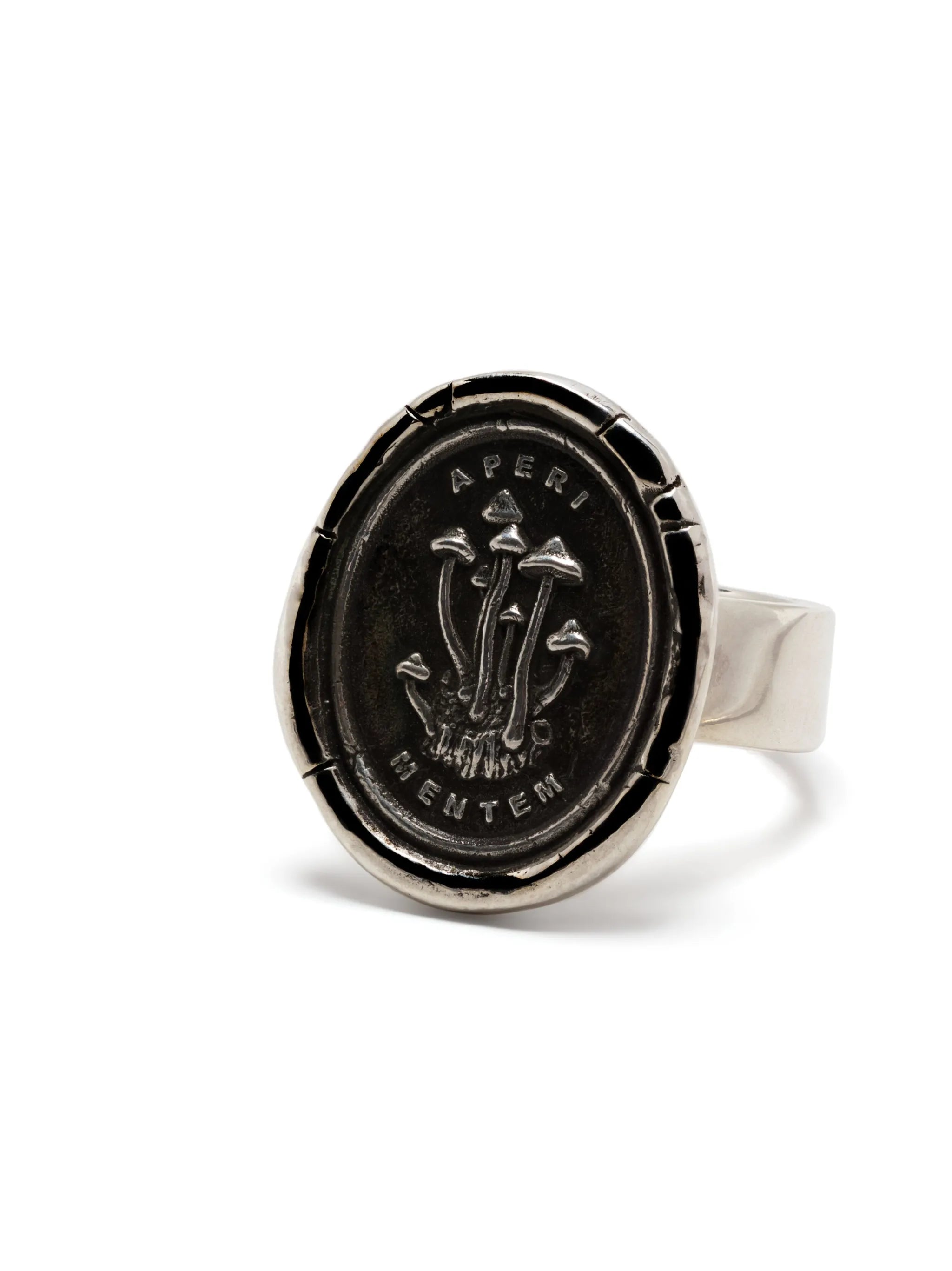Open Your Mind ring