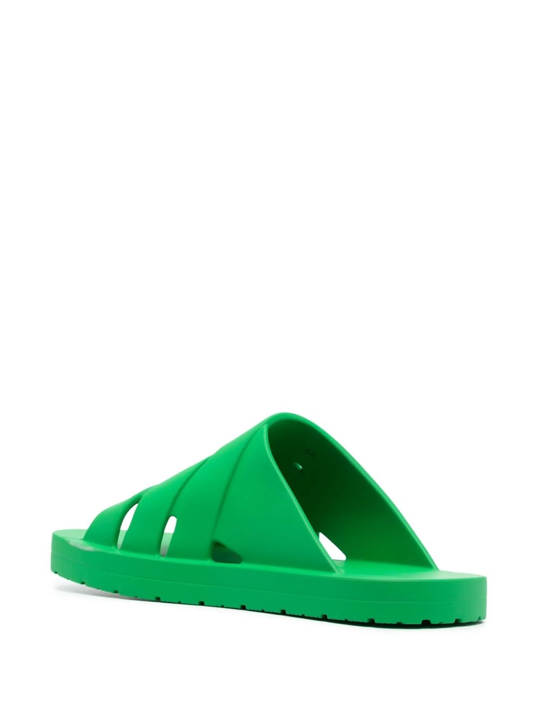 Parakeet crossover strap slides