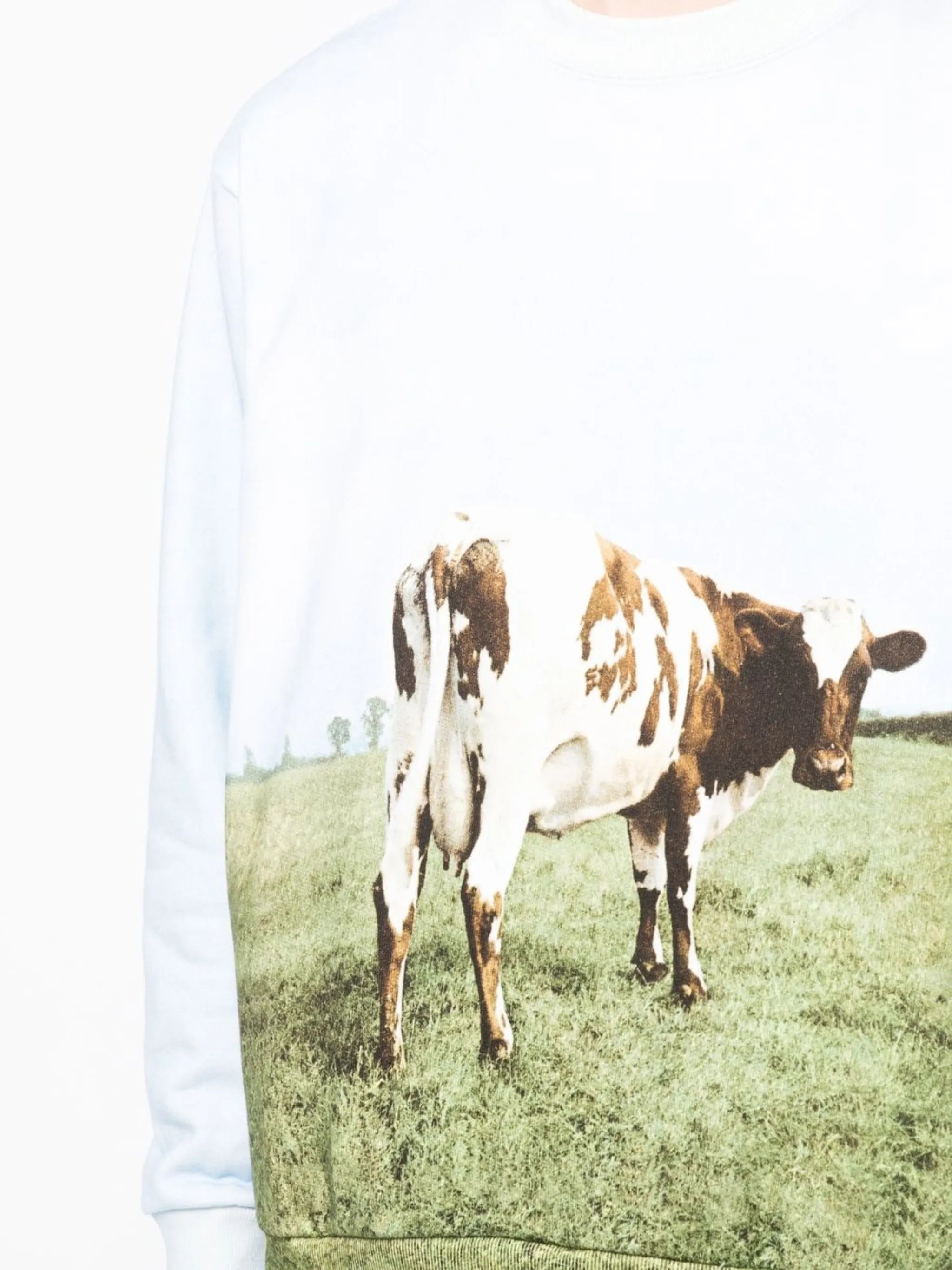 photograph-print cotton sweatshirt