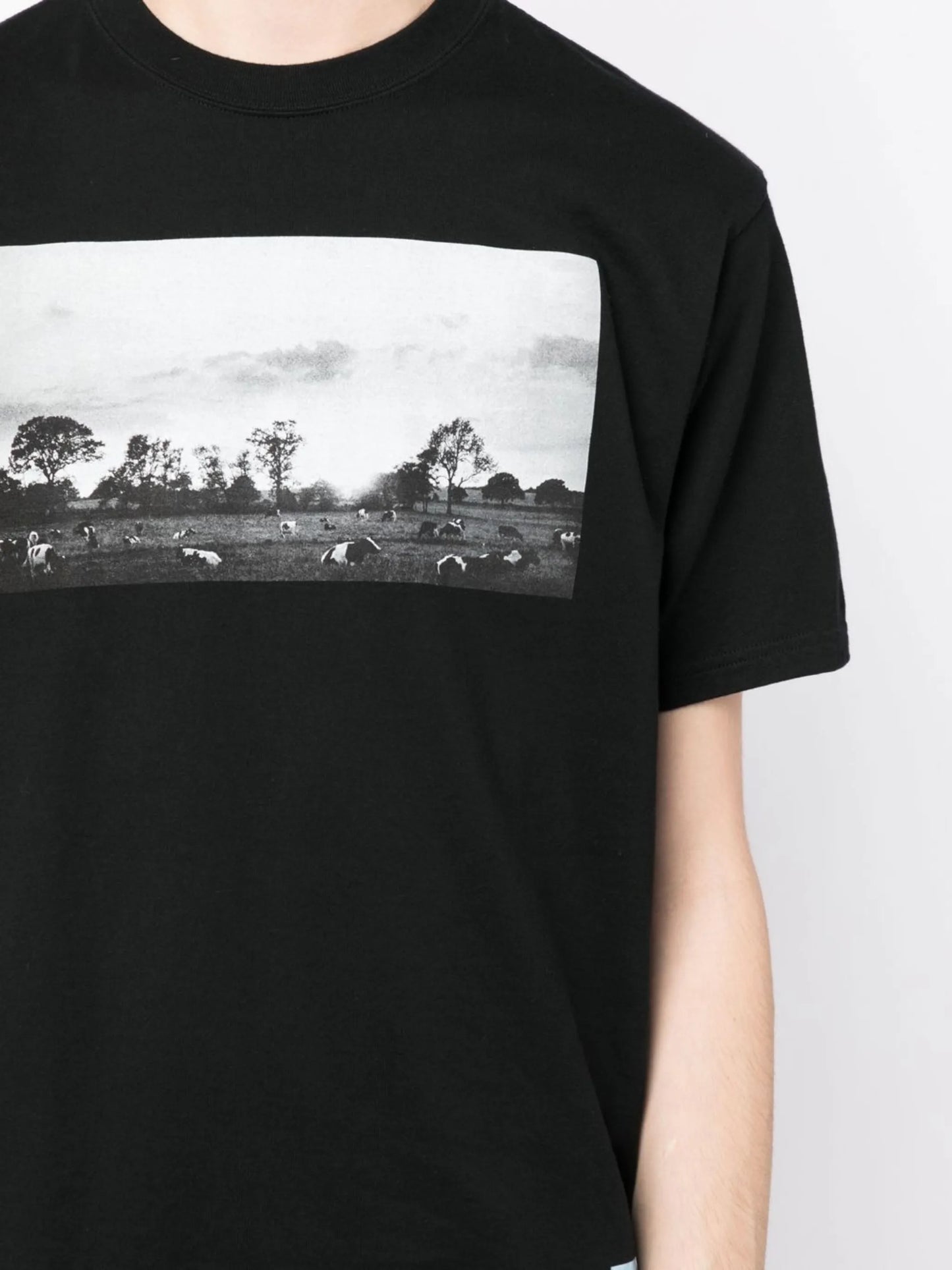 photograph-print cotton T-Shirt