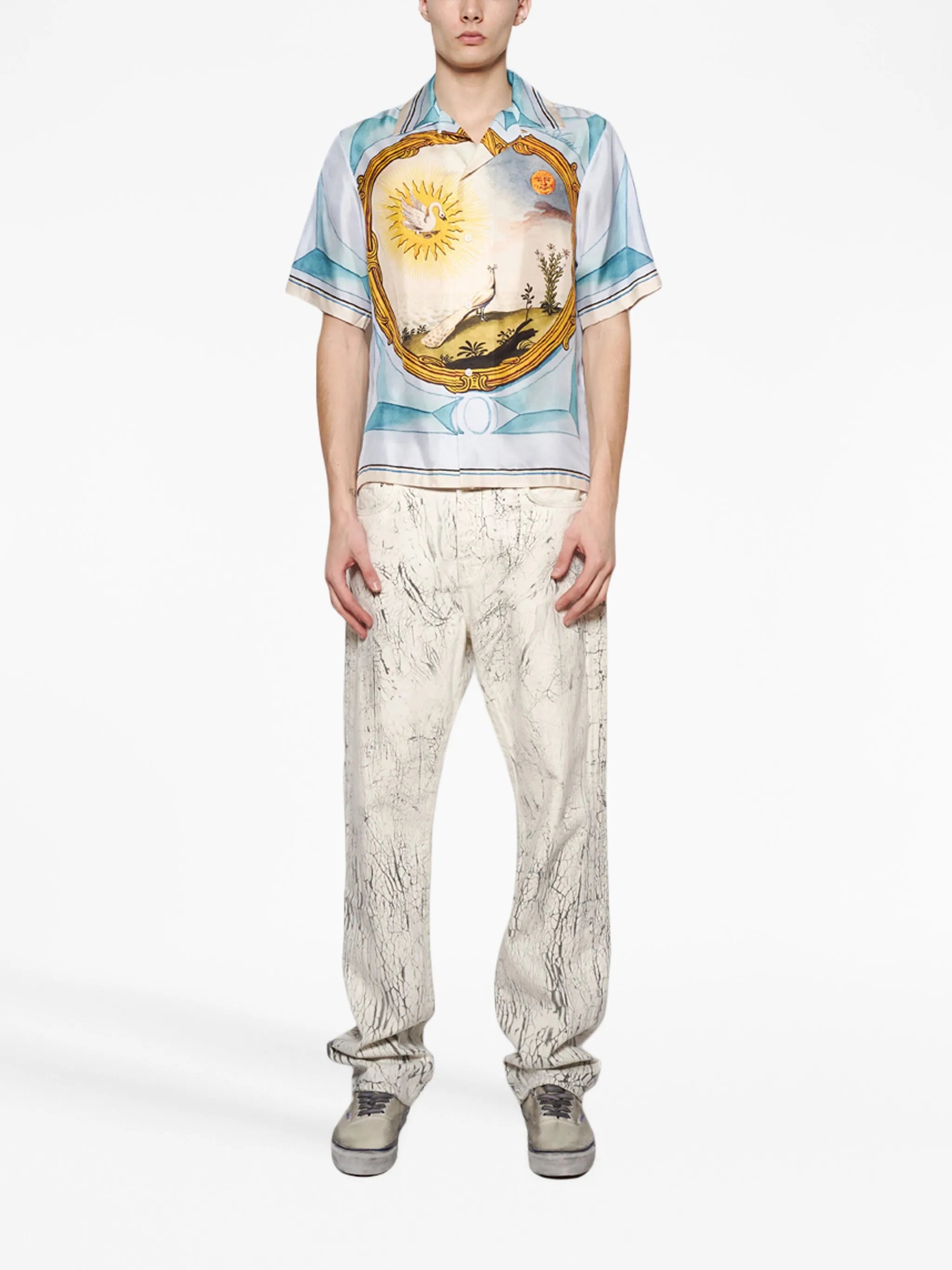 Landscape Frame printed shirt