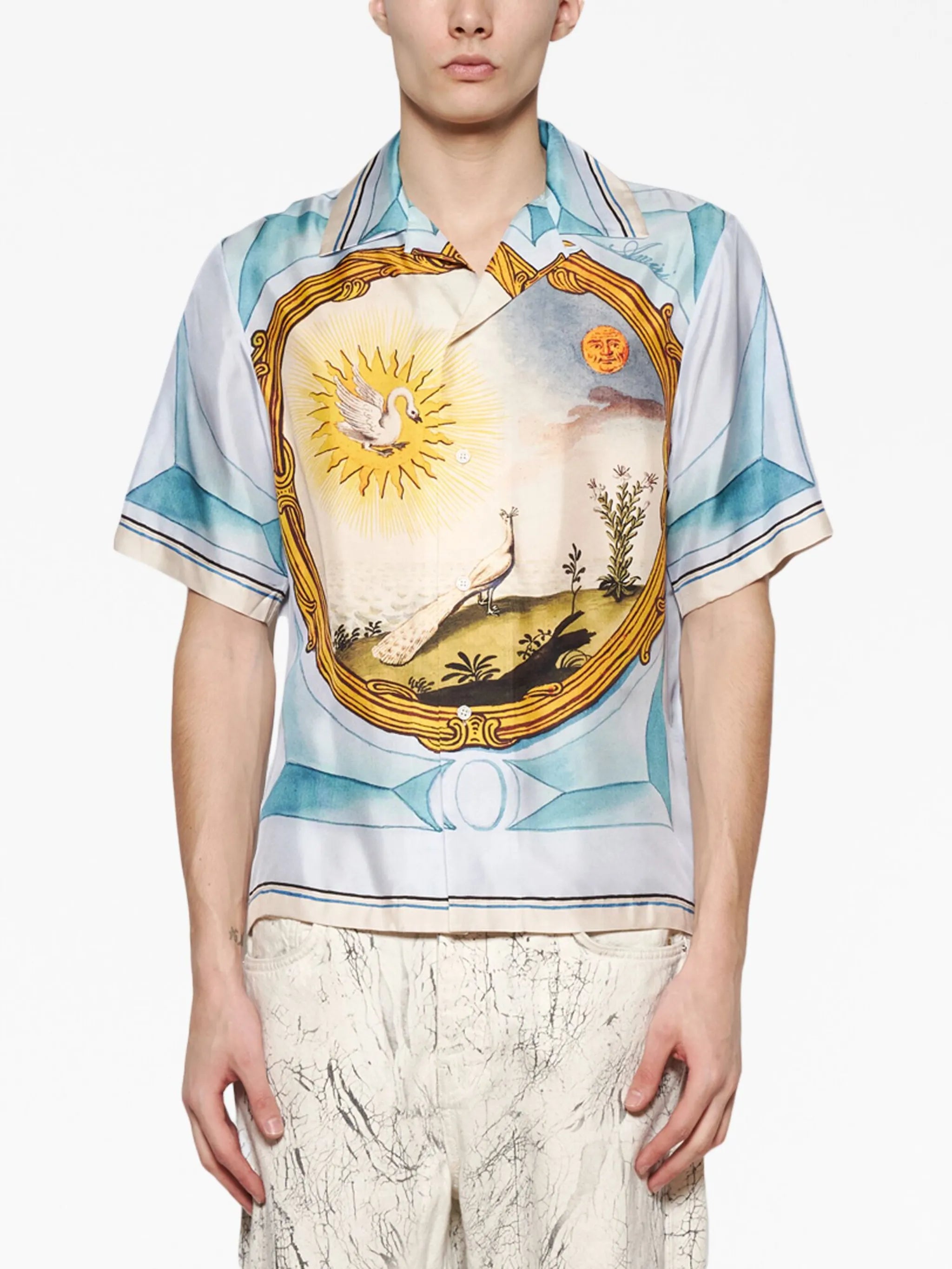 Landscape Frame printed shirt