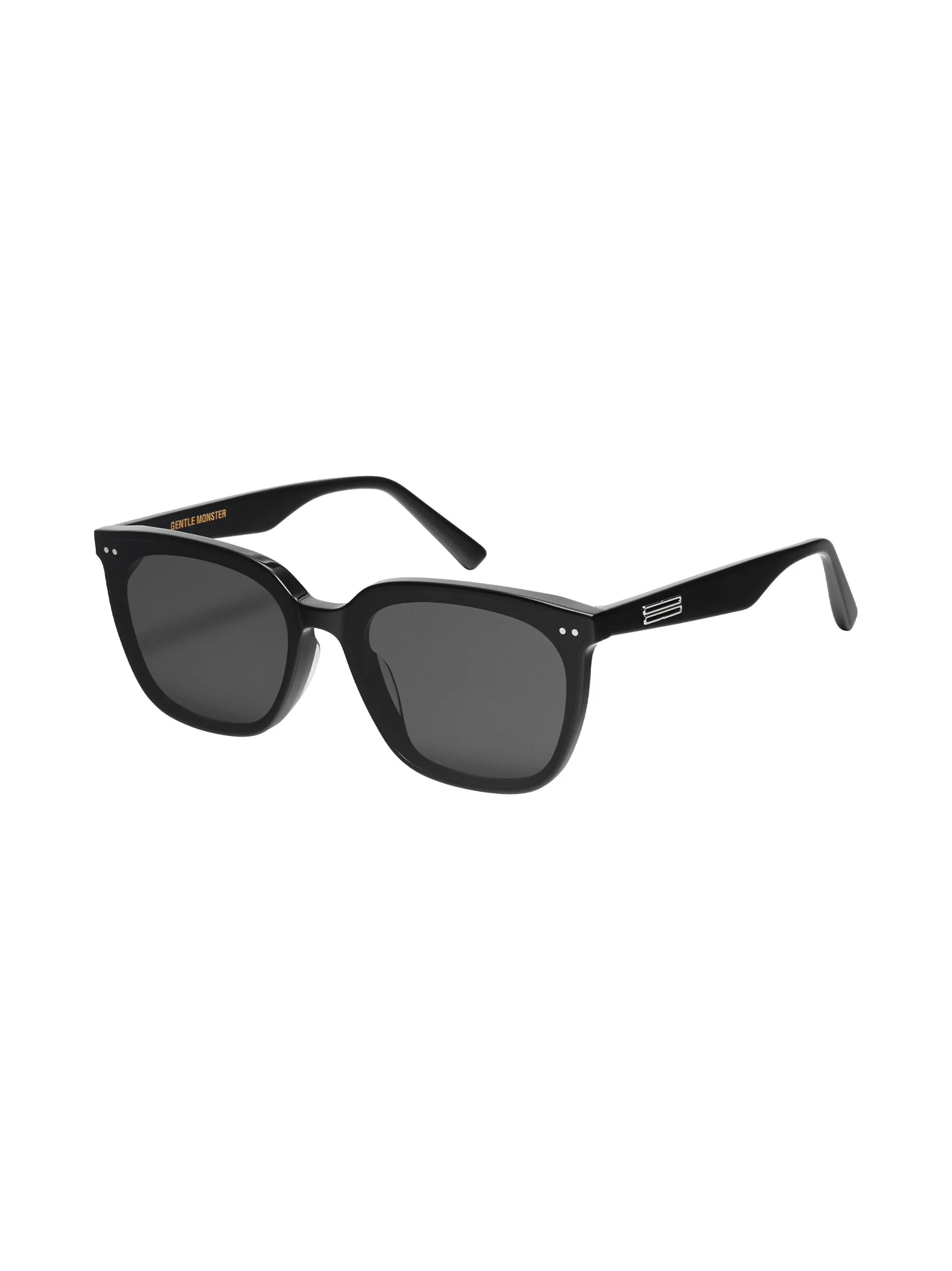 Heizer tinted sunglasses