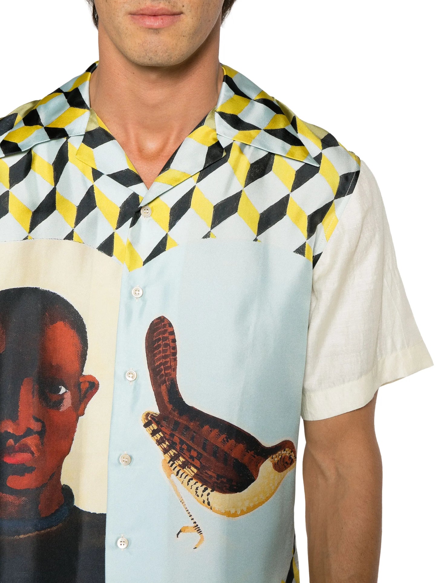 Birdsong-print silk shirt