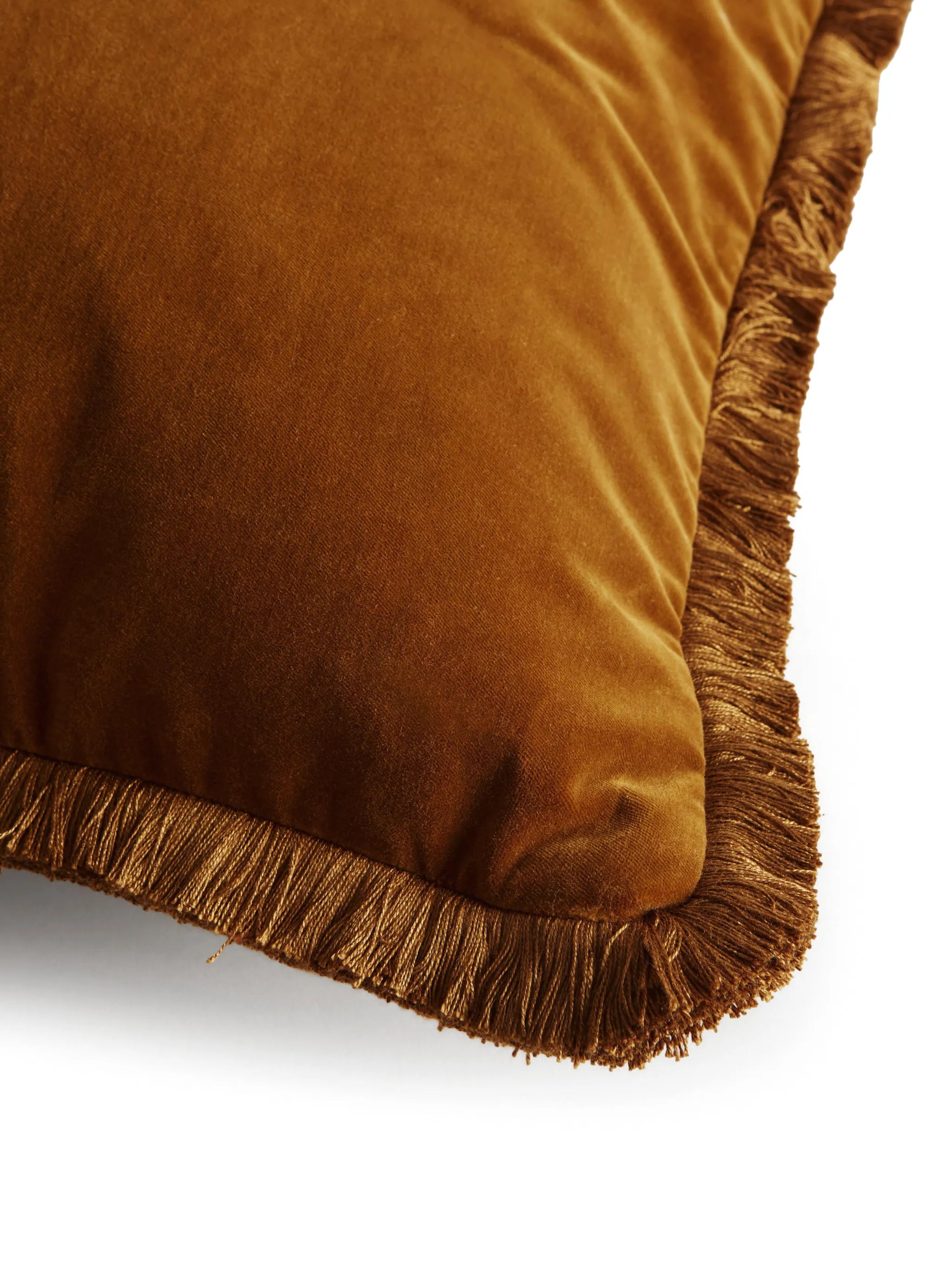 Margeaux velvet cushion (65cm x 65cm)
