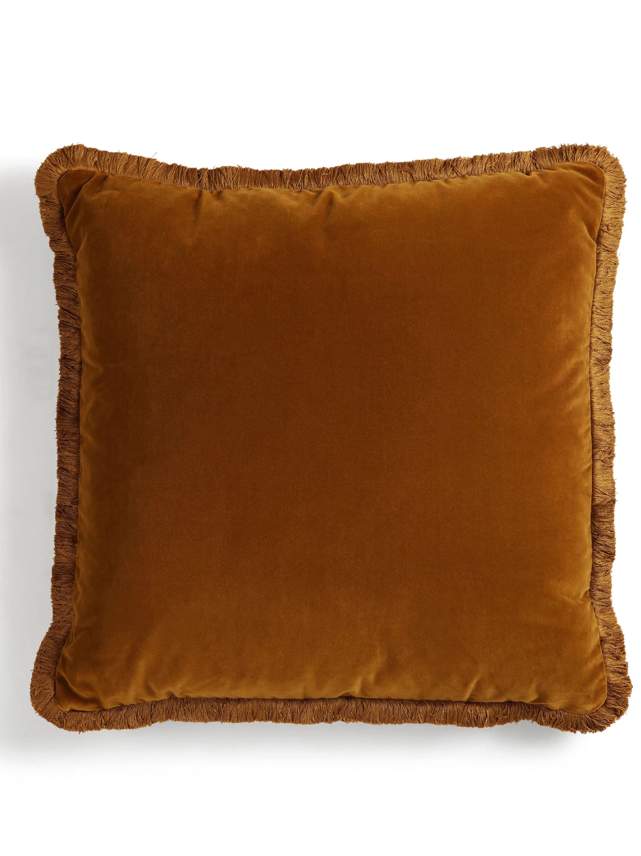 Margeaux velvet cushion (65cm x 65cm)