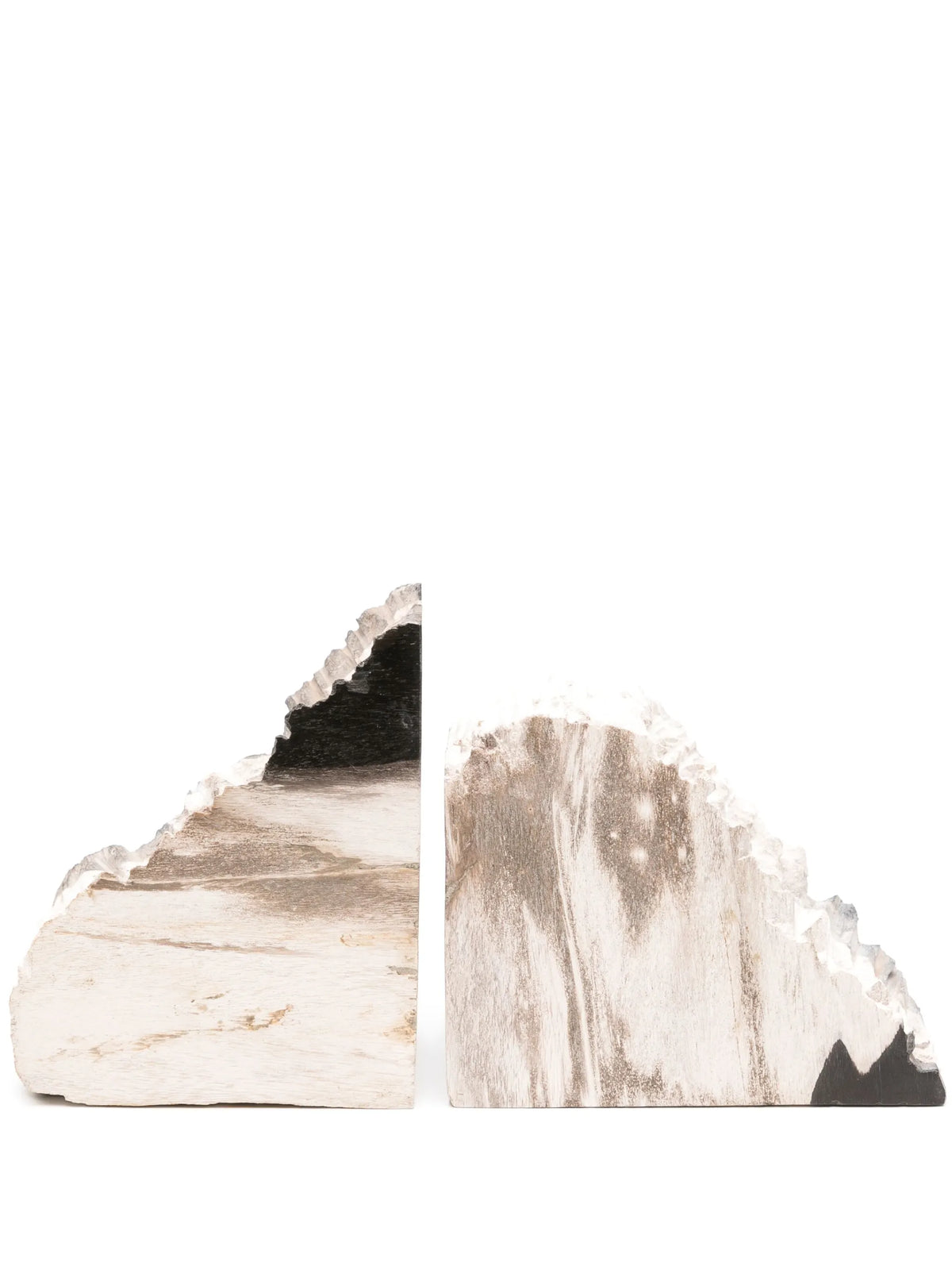 Balfern petrified wood bookends