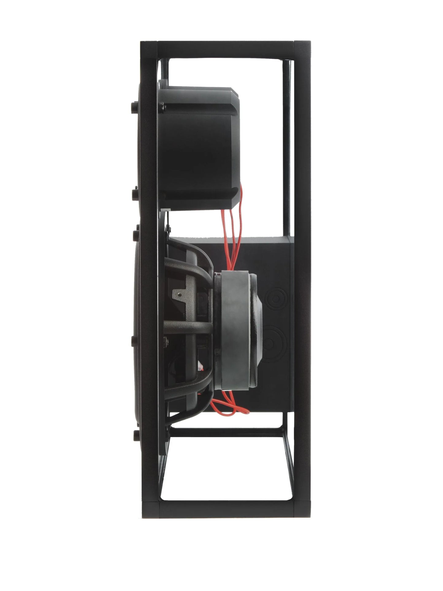 large Transparent Special Edition speakers