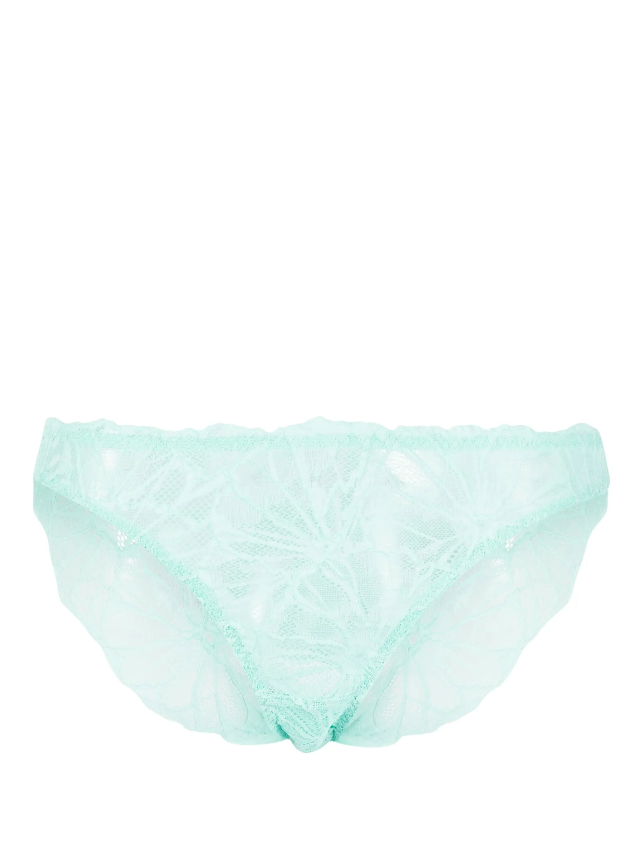 Sierra lace briefs