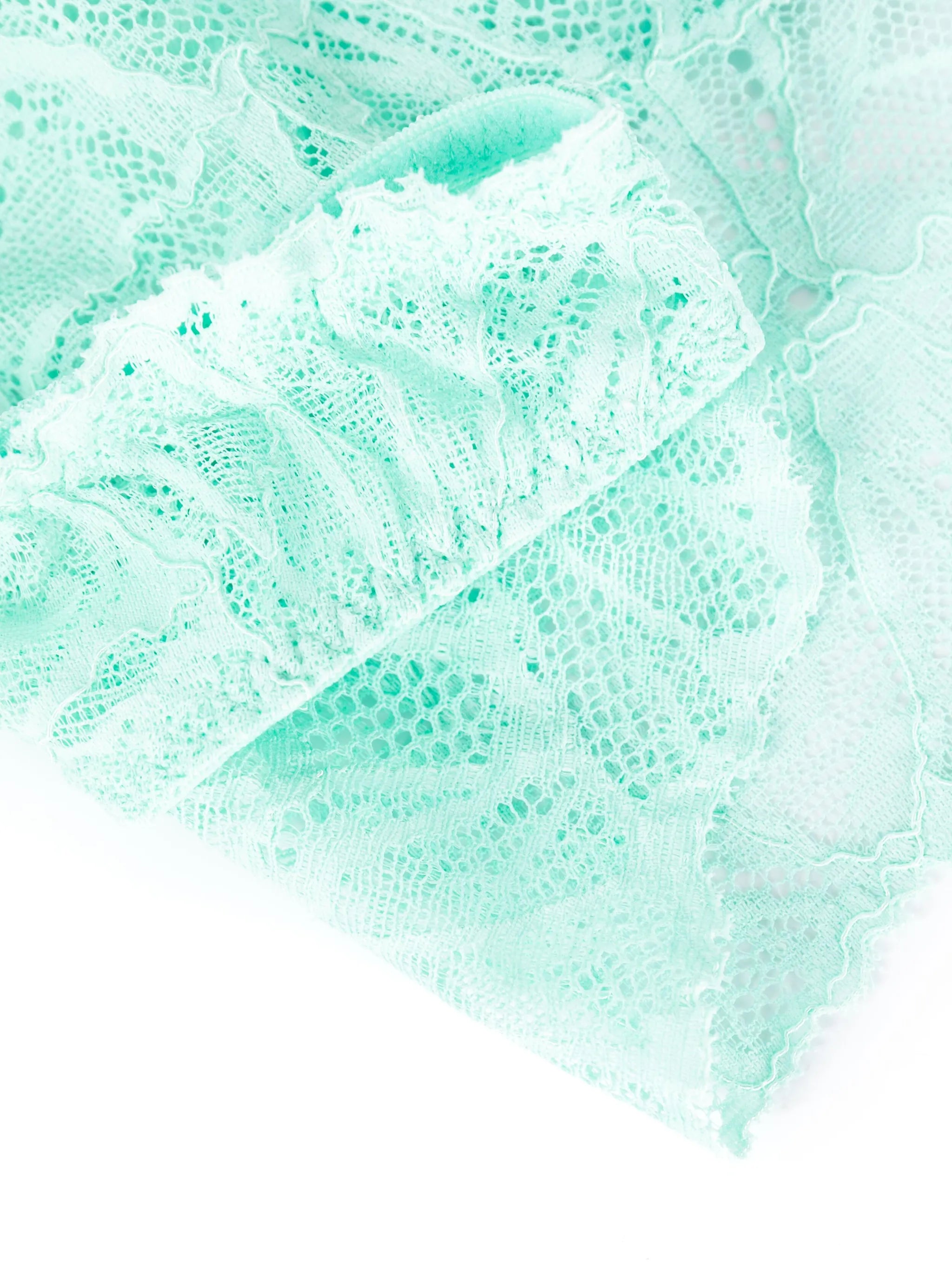 Sierra lace briefs