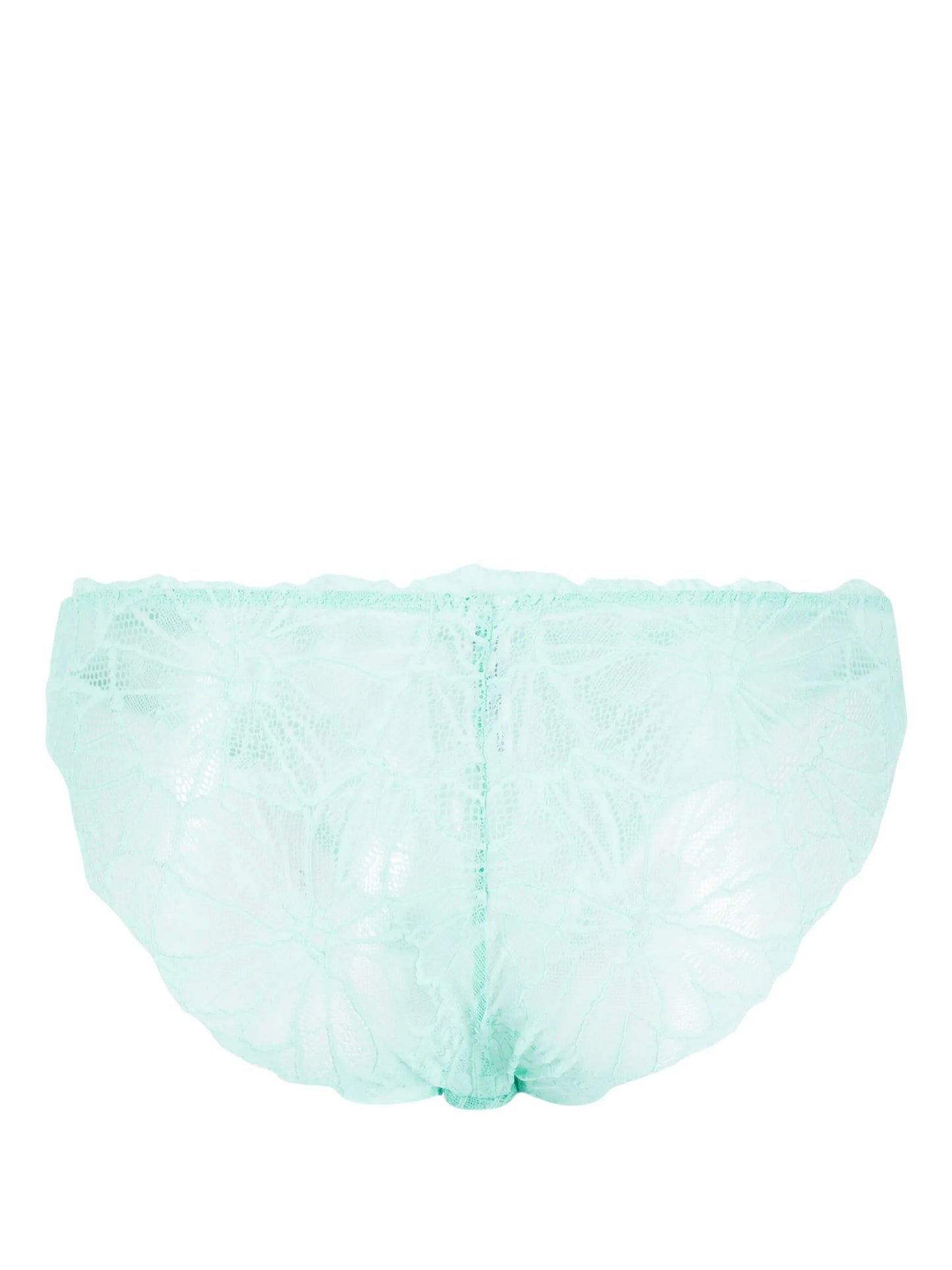 Sierra lace briefs