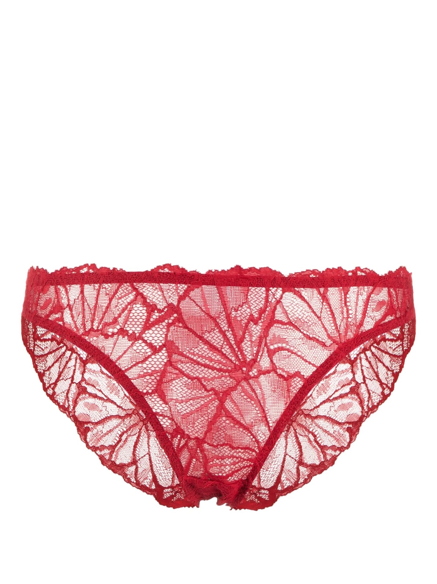 Constance floral-lace briefs